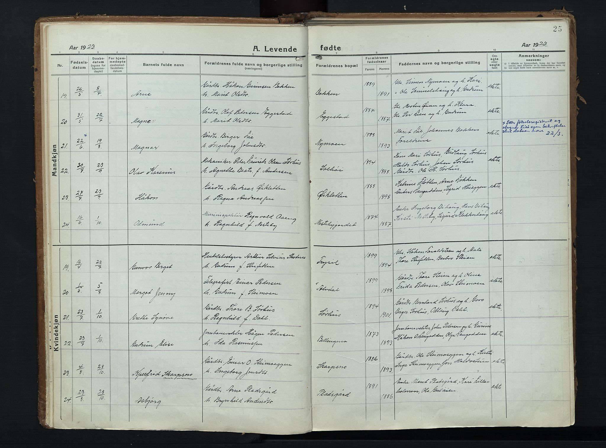 Alvdal prestekontor, AV/SAH-PREST-060/H/Ha/Haa/L0006: Ministerialbok nr. 6, 1920-1937, s. 25
