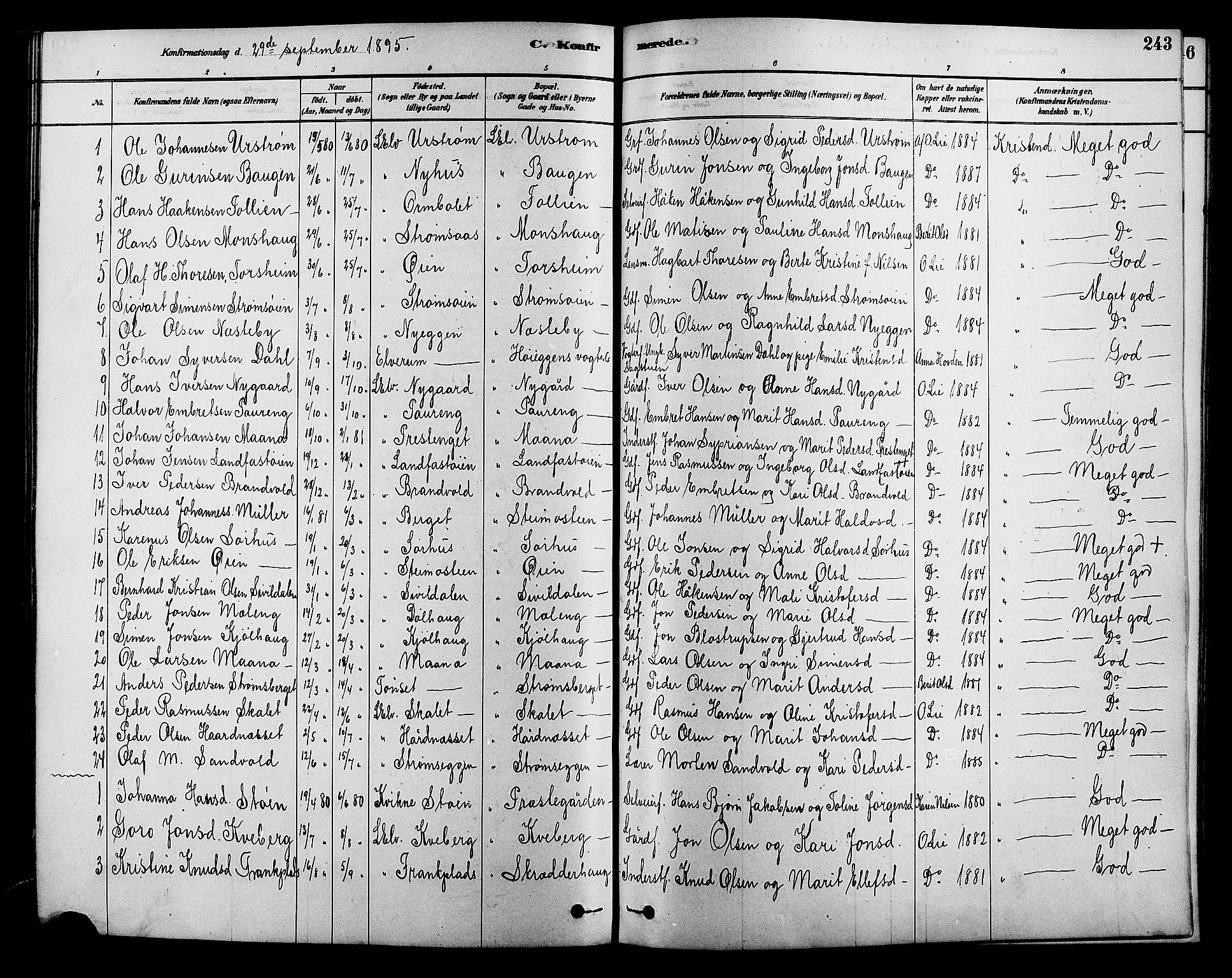 Alvdal prestekontor, AV/SAH-PREST-060/H/Ha/Hab/L0003: Klokkerbok nr. 3, 1878-1907, s. 243