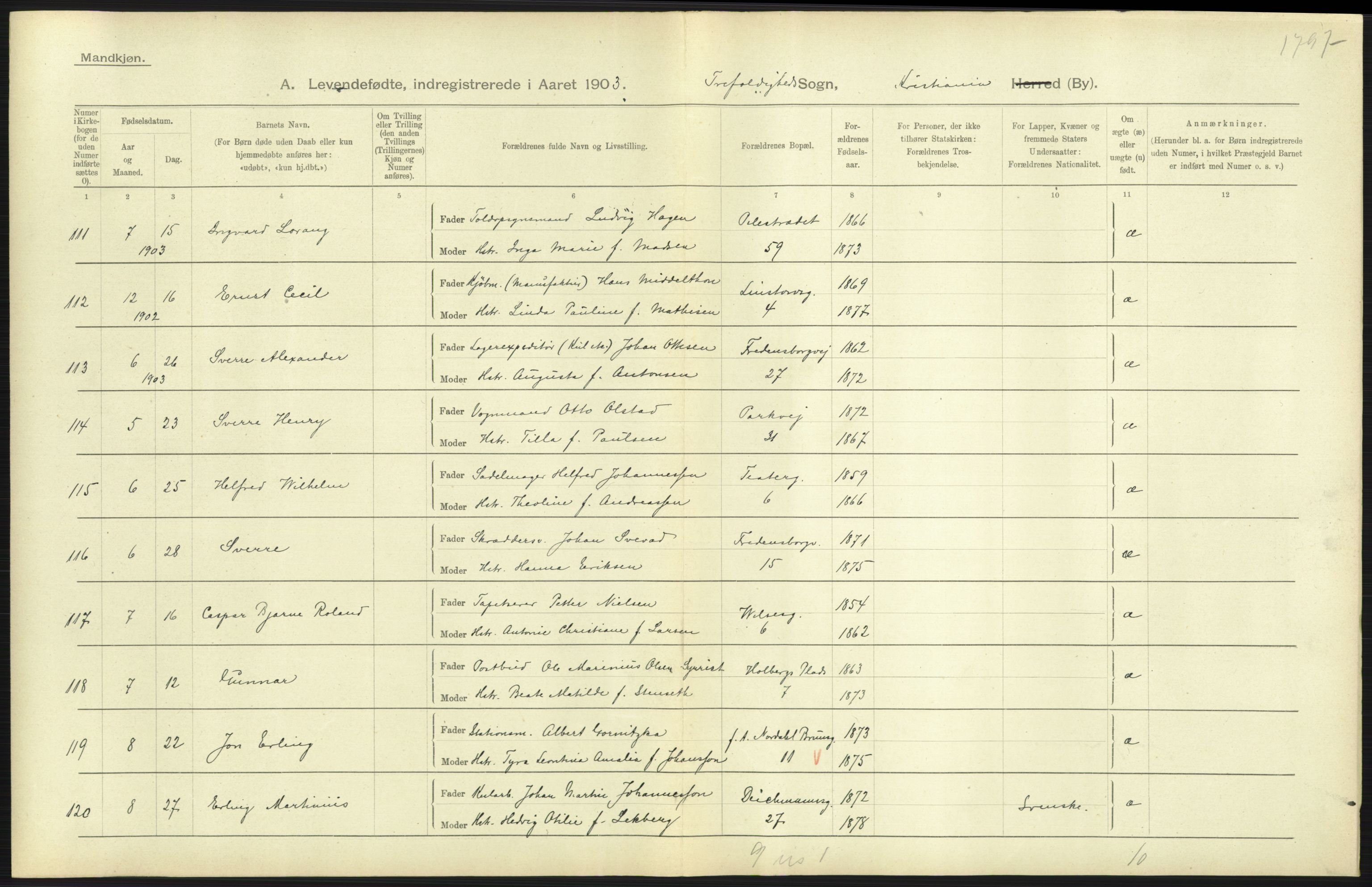 Statistisk sentralbyrå, Sosiodemografiske emner, Befolkning, AV/RA-S-2228/D/Df/Dfa/Dfaa/L0003: Kristiania: Fødte, 1903, s. 243