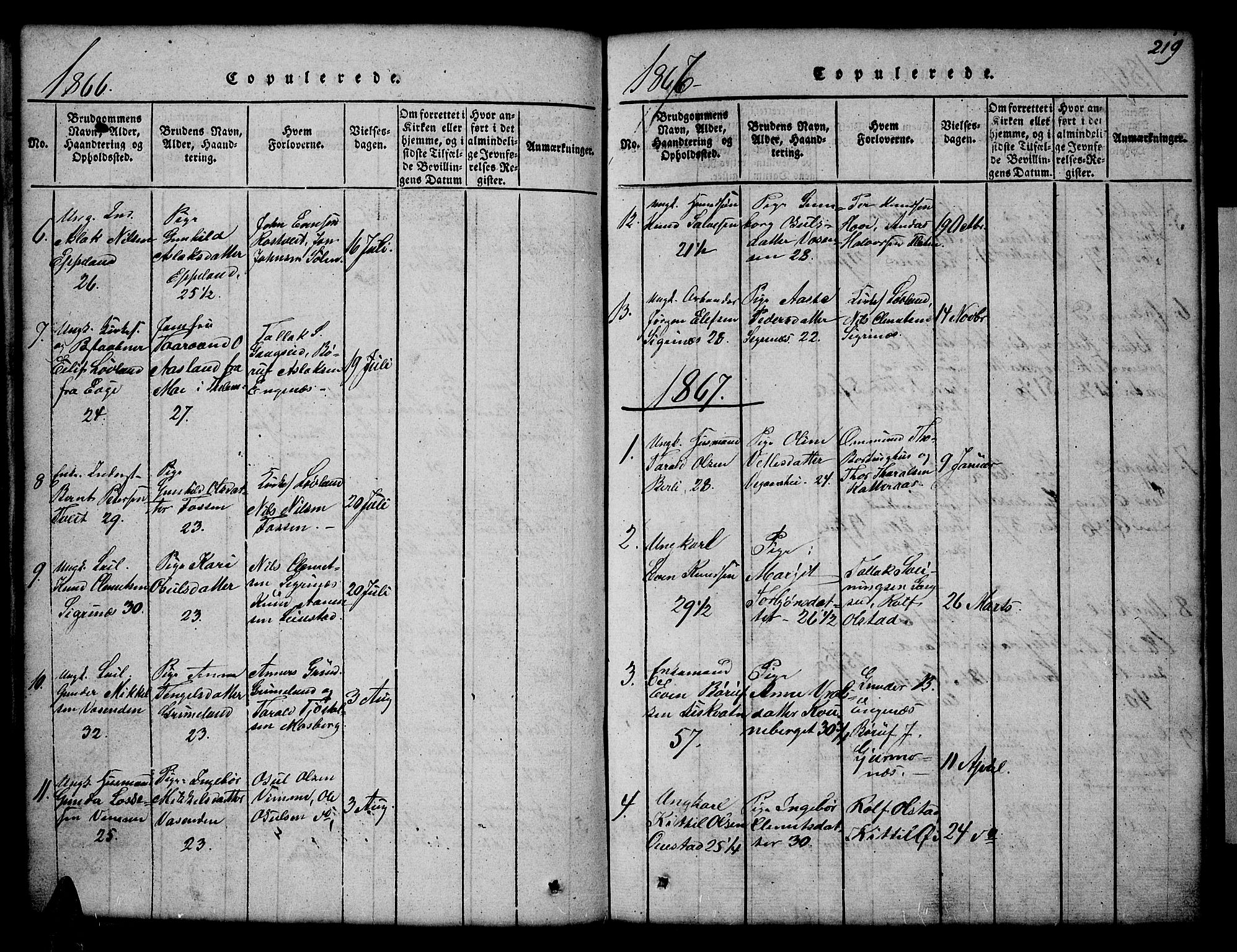 Åmli sokneprestkontor, AV/SAK-1111-0050/F/Fb/Fbc/L0001: Klokkerbok nr. B 1, 1816-1867, s. 219