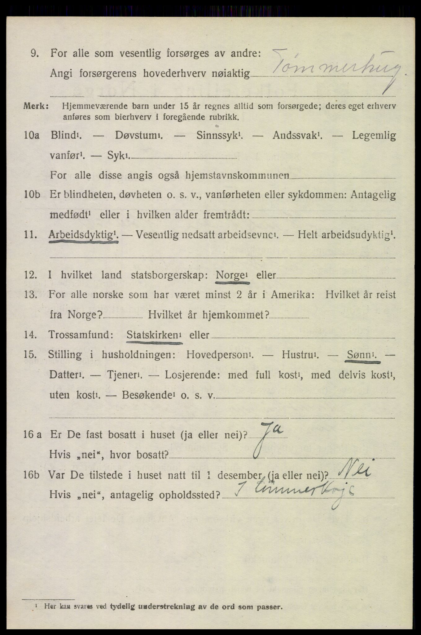 SAH, Folketelling 1920 for 0428 Trysil herred, 1920, s. 9496