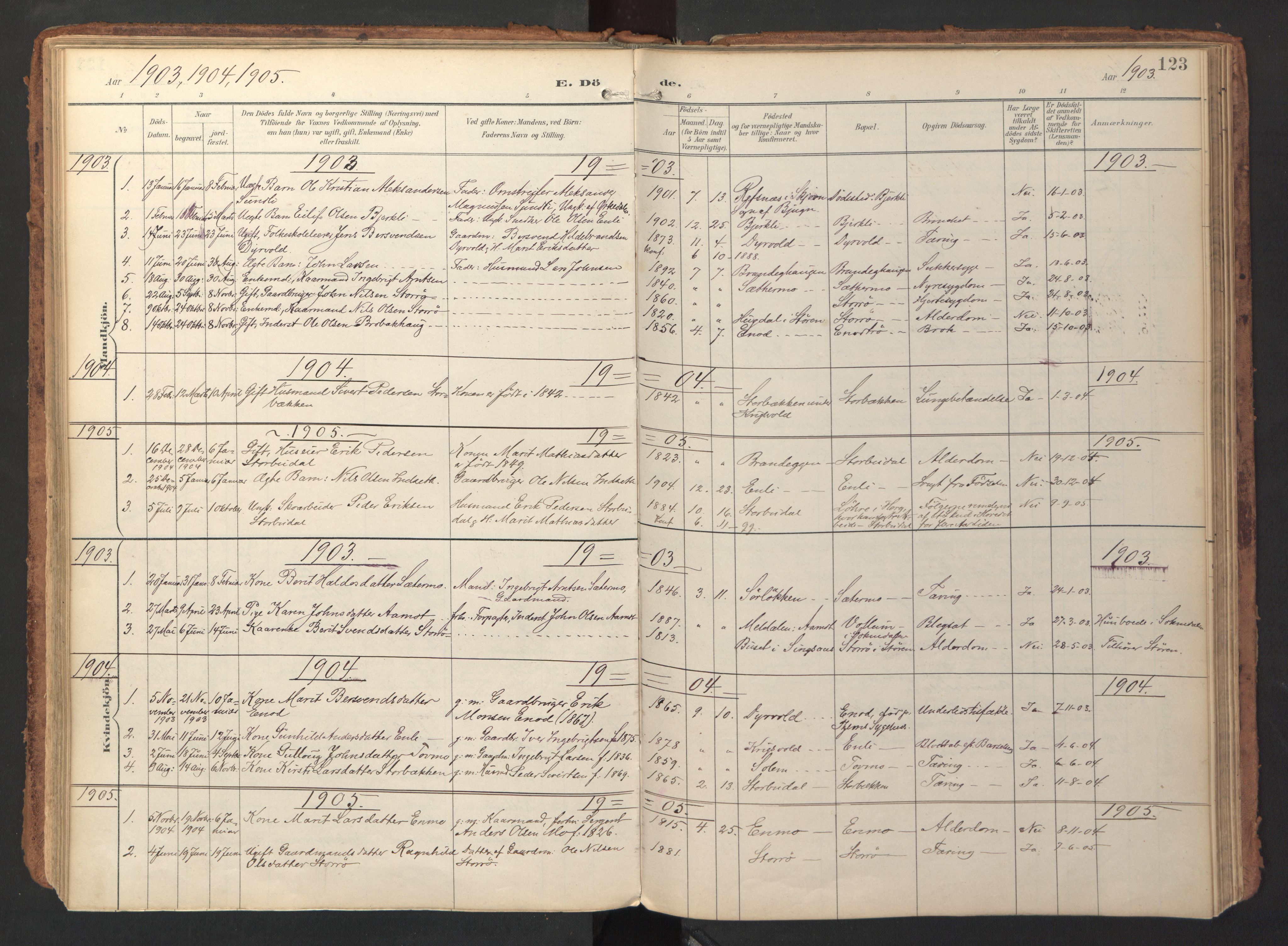 Ministerialprotokoller, klokkerbøker og fødselsregistre - Sør-Trøndelag, AV/SAT-A-1456/690/L1050: Ministerialbok nr. 690A01, 1889-1929, s. 123