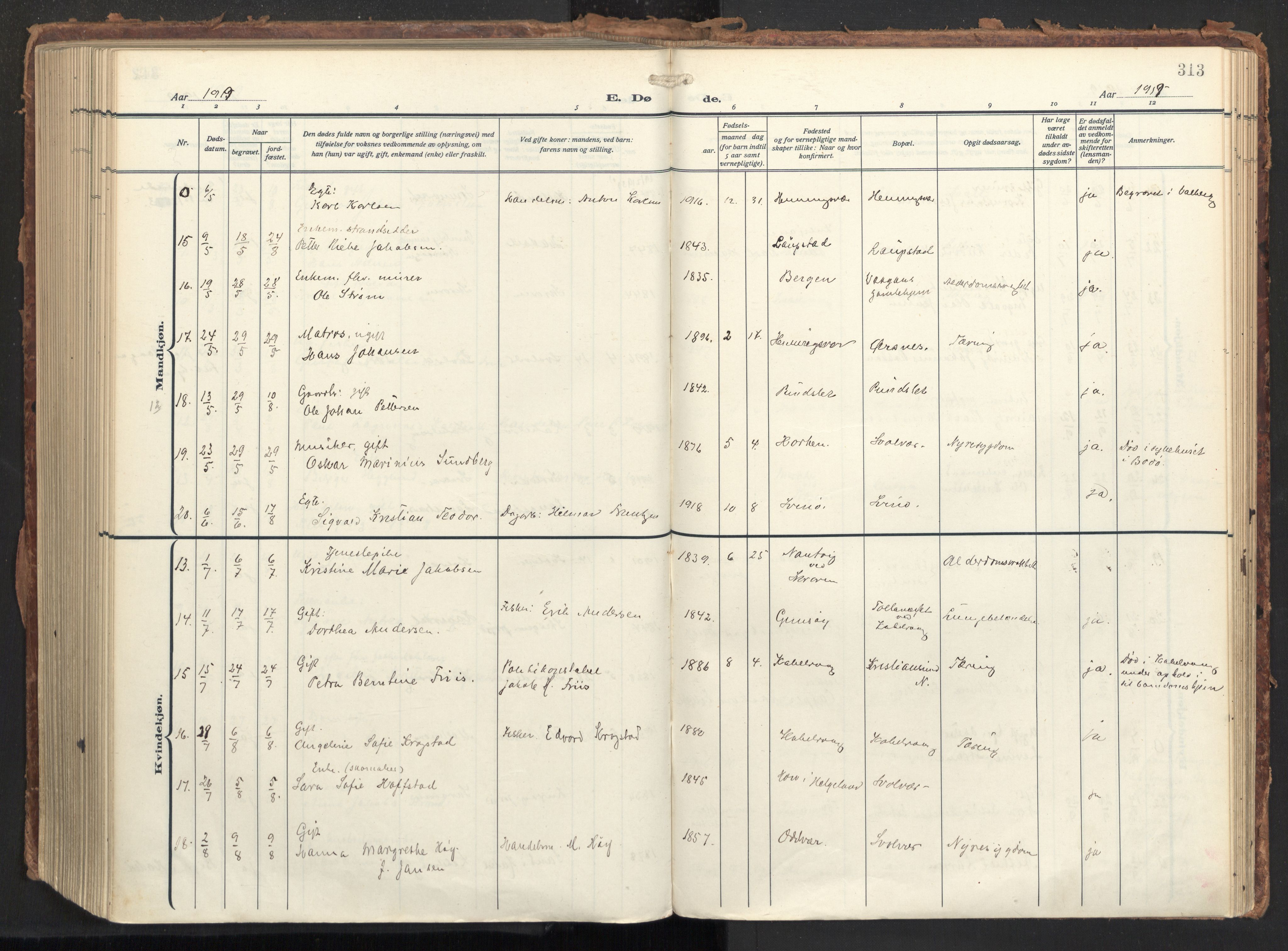 Ministerialprotokoller, klokkerbøker og fødselsregistre - Nordland, AV/SAT-A-1459/874/L1064: Ministerialbok nr. 874A08, 1915-1926, s. 313