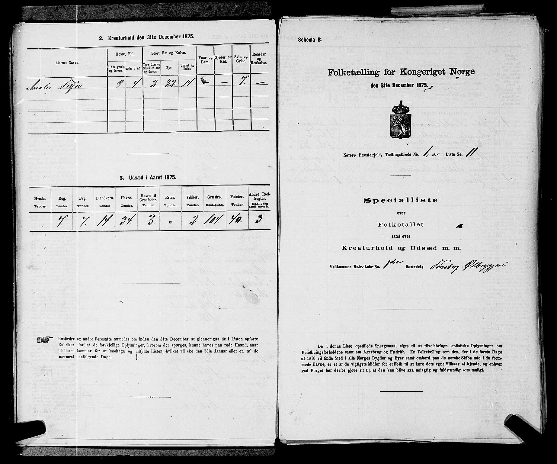 SAKO, Folketelling 1875 for 0722P Nøtterøy prestegjeld, 1875, s. 123