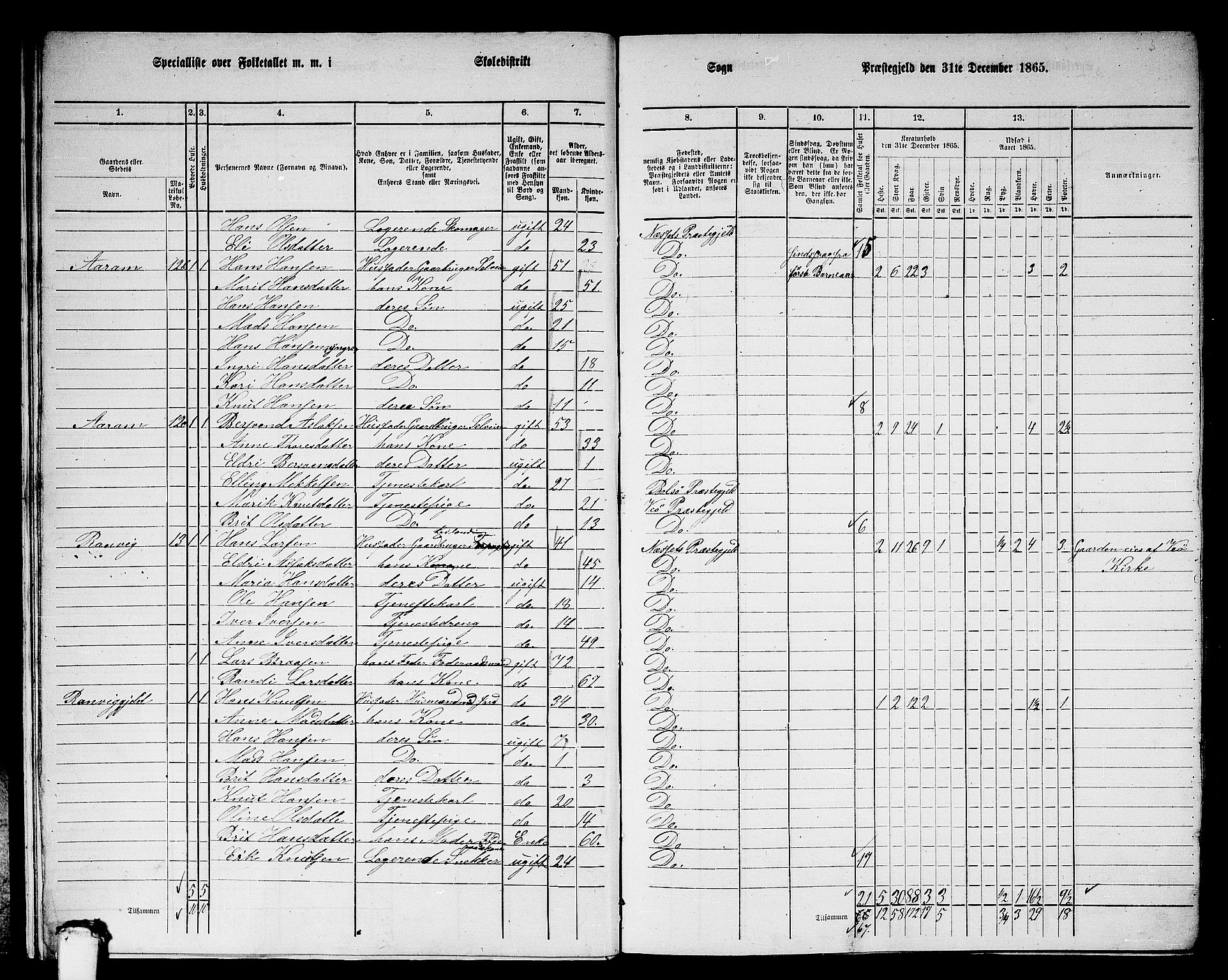 RA, Folketelling 1865 for 1543P Nesset prestegjeld, 1865, s. 13