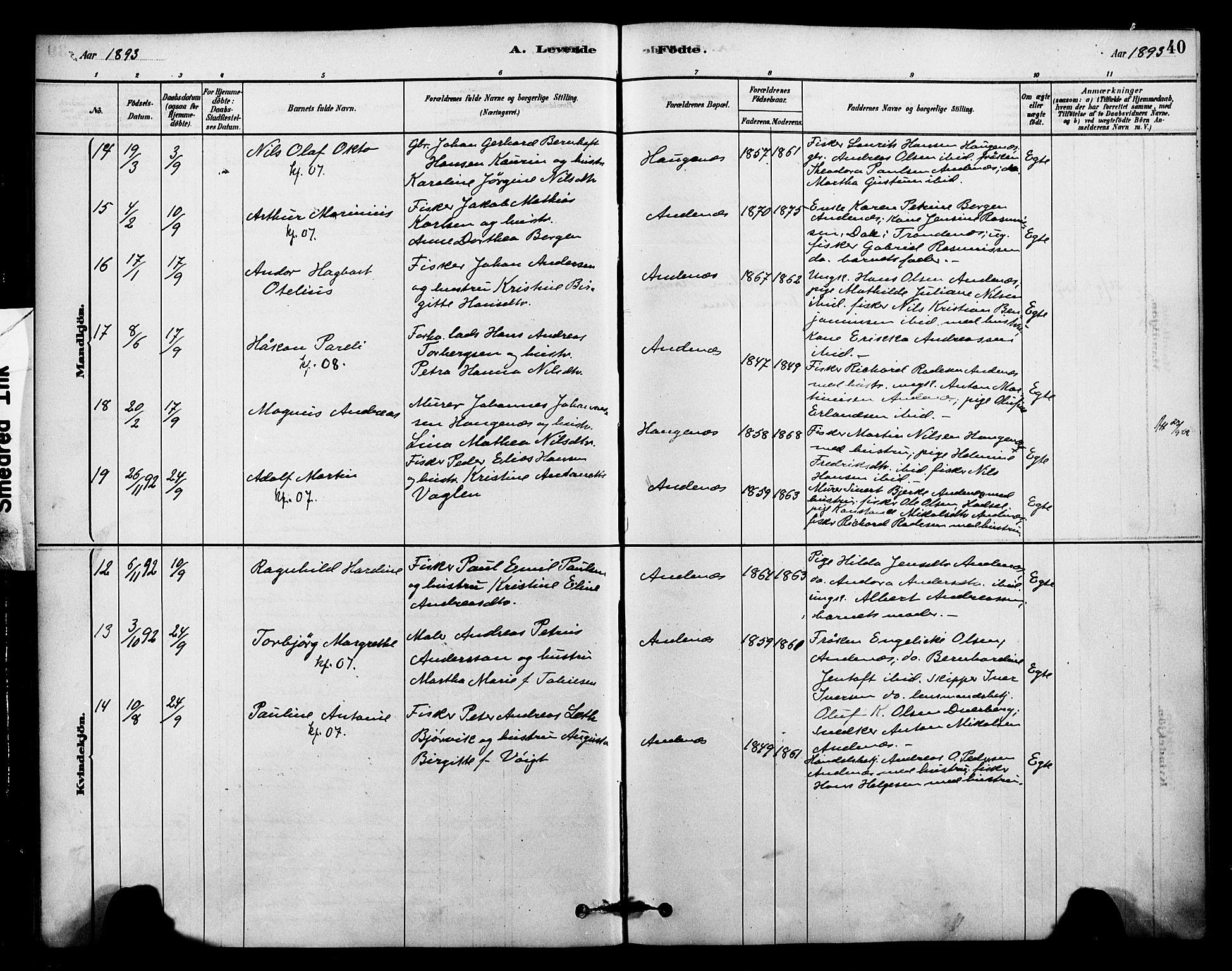 Ministerialprotokoller, klokkerbøker og fødselsregistre - Nordland, AV/SAT-A-1459/899/L1436: Ministerialbok nr. 899A04, 1881-1896, s. 40