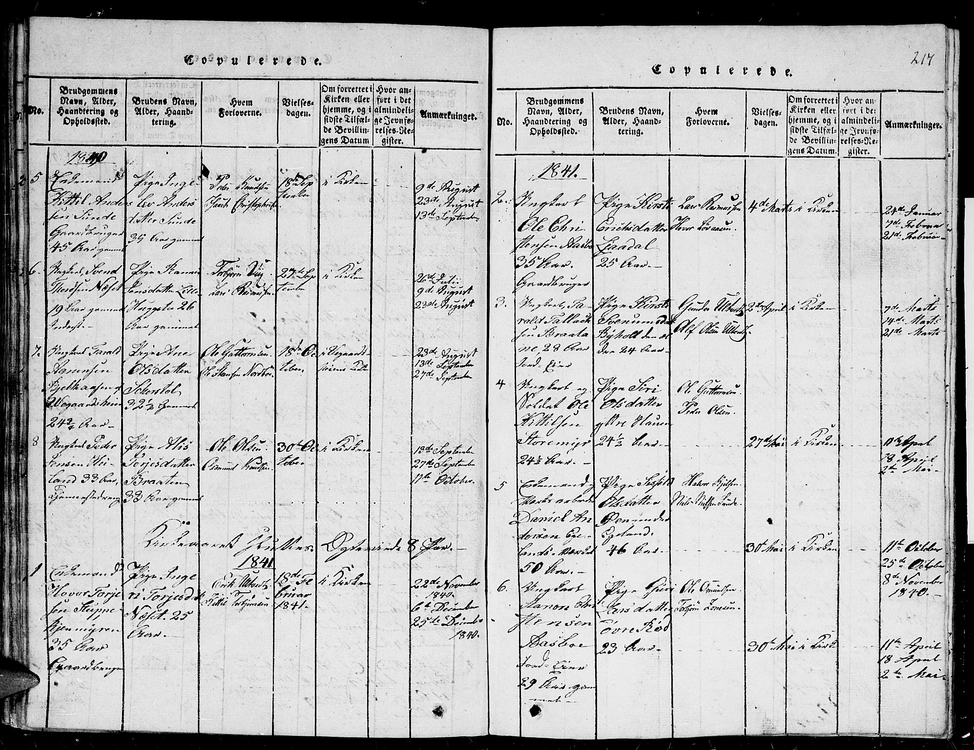 Gjerstad sokneprestkontor, AV/SAK-1111-0014/F/Fb/Fba/L0002: Klokkerbok nr. B 2, 1816-1845, s. 217