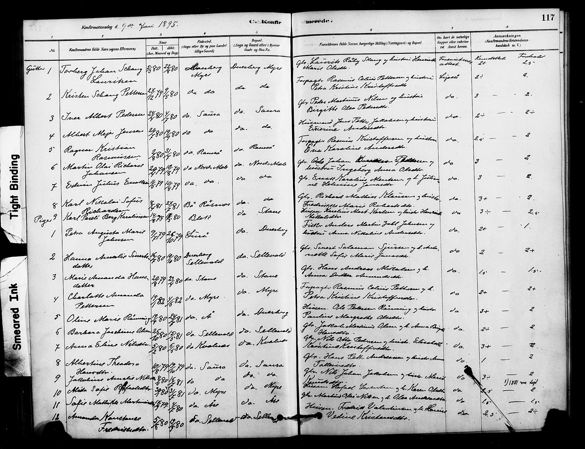 Ministerialprotokoller, klokkerbøker og fødselsregistre - Nordland, AV/SAT-A-1459/897/L1399: Ministerialbok nr. 897C06, 1881-1896, s. 117