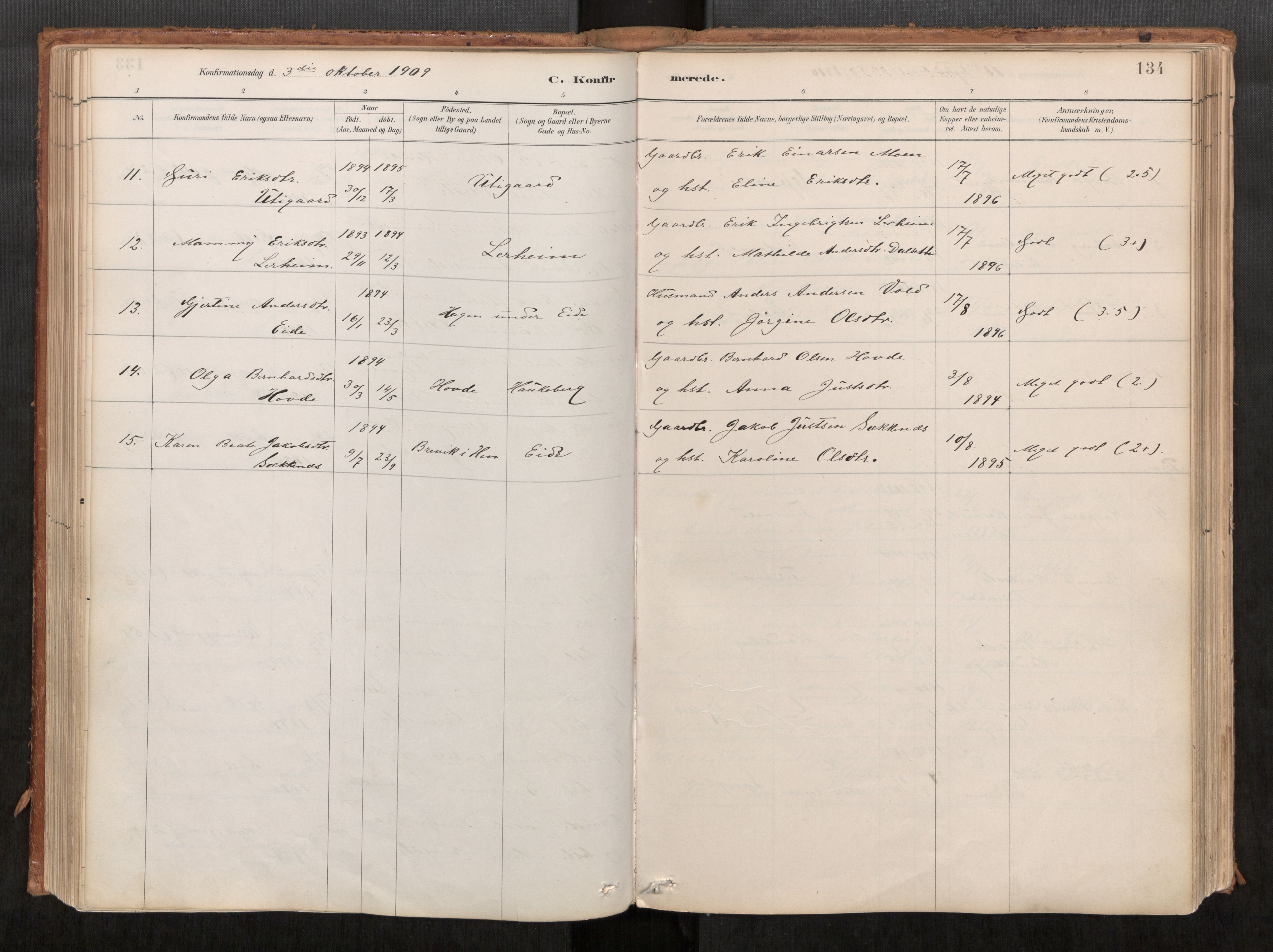 Ministerialprotokoller, klokkerbøker og fødselsregistre - Møre og Romsdal, AV/SAT-A-1454/542/L0553: Ministerialbok nr. 542A03, 1885-1925, s. 134