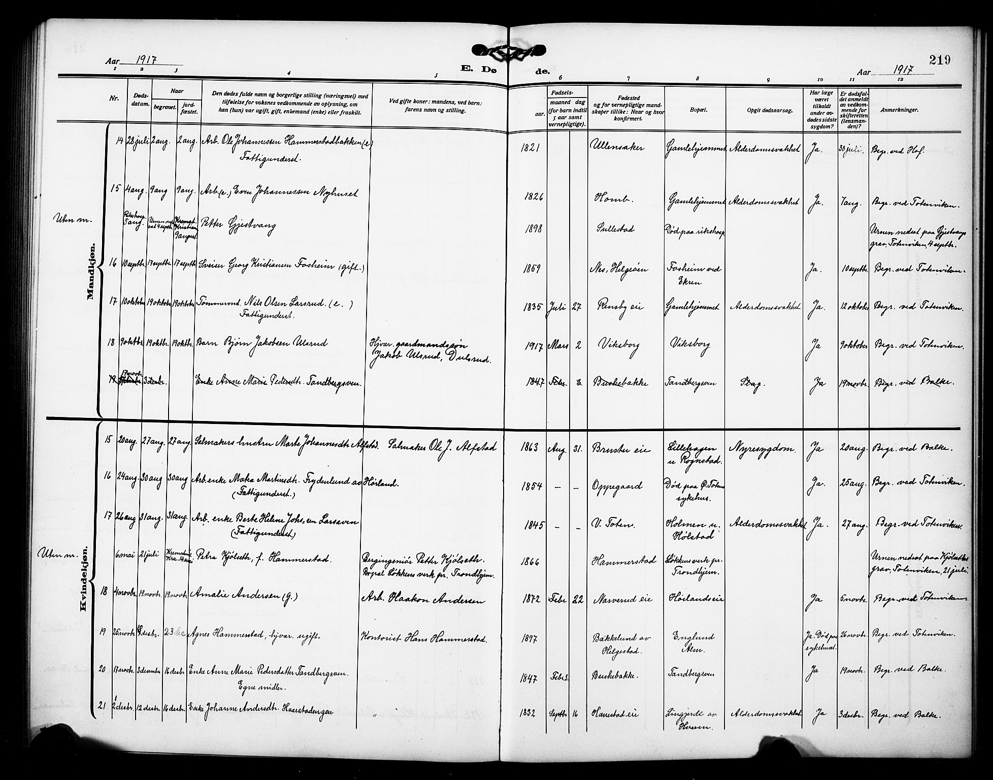 Østre Toten prestekontor, SAH/PREST-104/H/Ha/Hab/L0008: Klokkerbok nr. 8, 1913-1929, s. 219