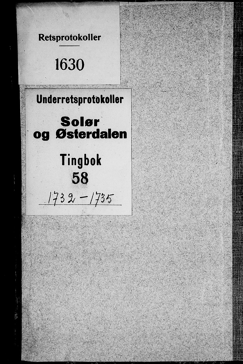Solør og Østerdalen sorenskriveri, SAH/TING-024/G/Gb/L0058: Tingbok, 1732-1735