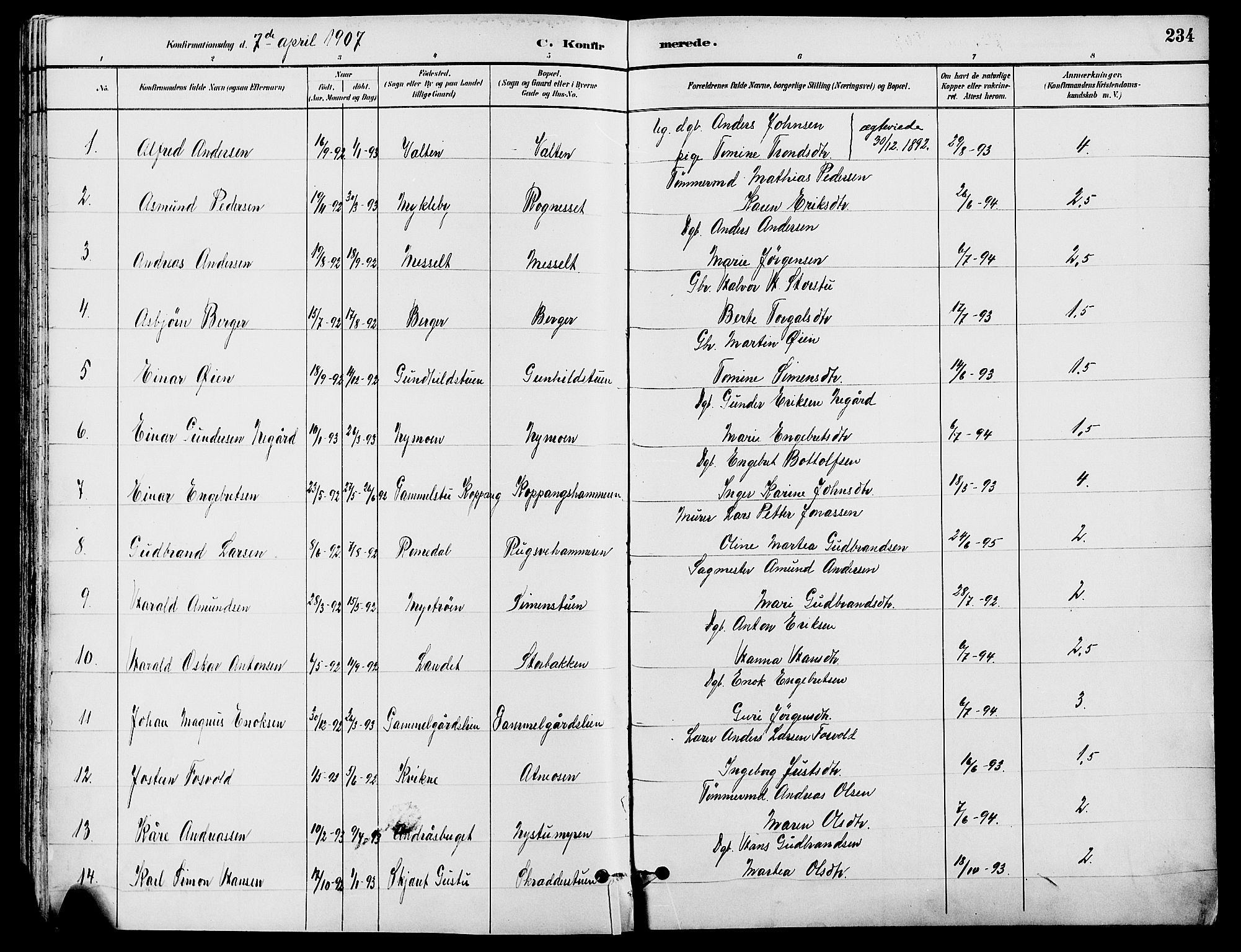 Stor-Elvdal prestekontor, SAH/PREST-052/H/Ha/Haa/L0002: Ministerialbok nr. 2, 1882-1907, s. 234