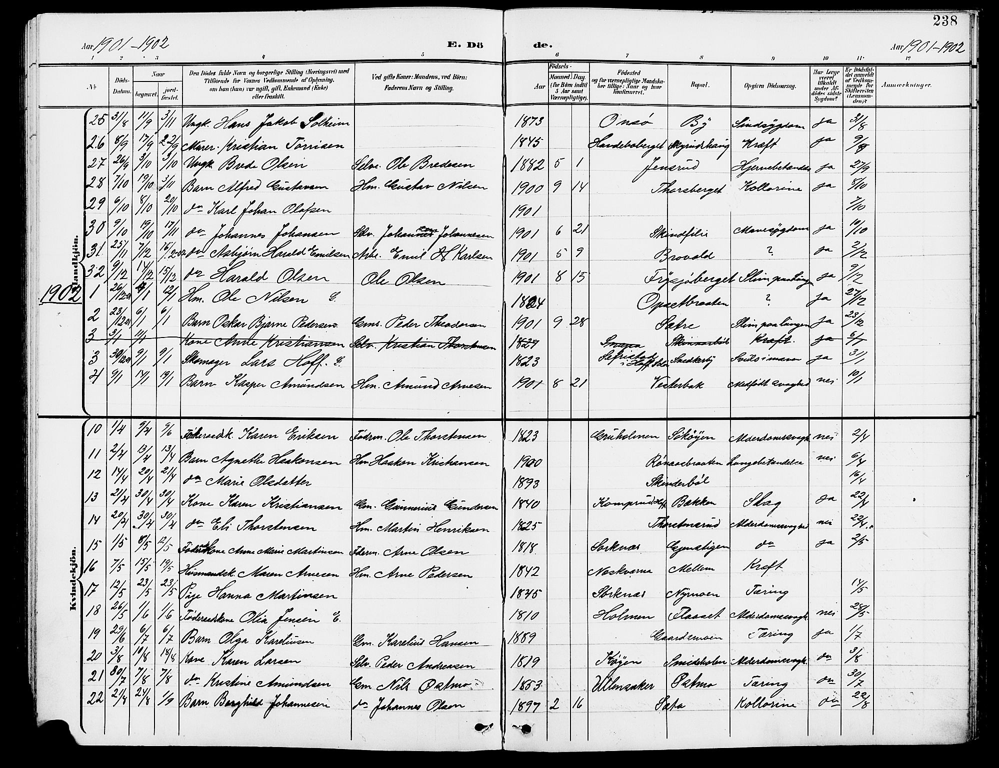 Grue prestekontor, AV/SAH-PREST-036/H/Ha/Hab/L0005: Klokkerbok nr. 5, 1900-1909, s. 238