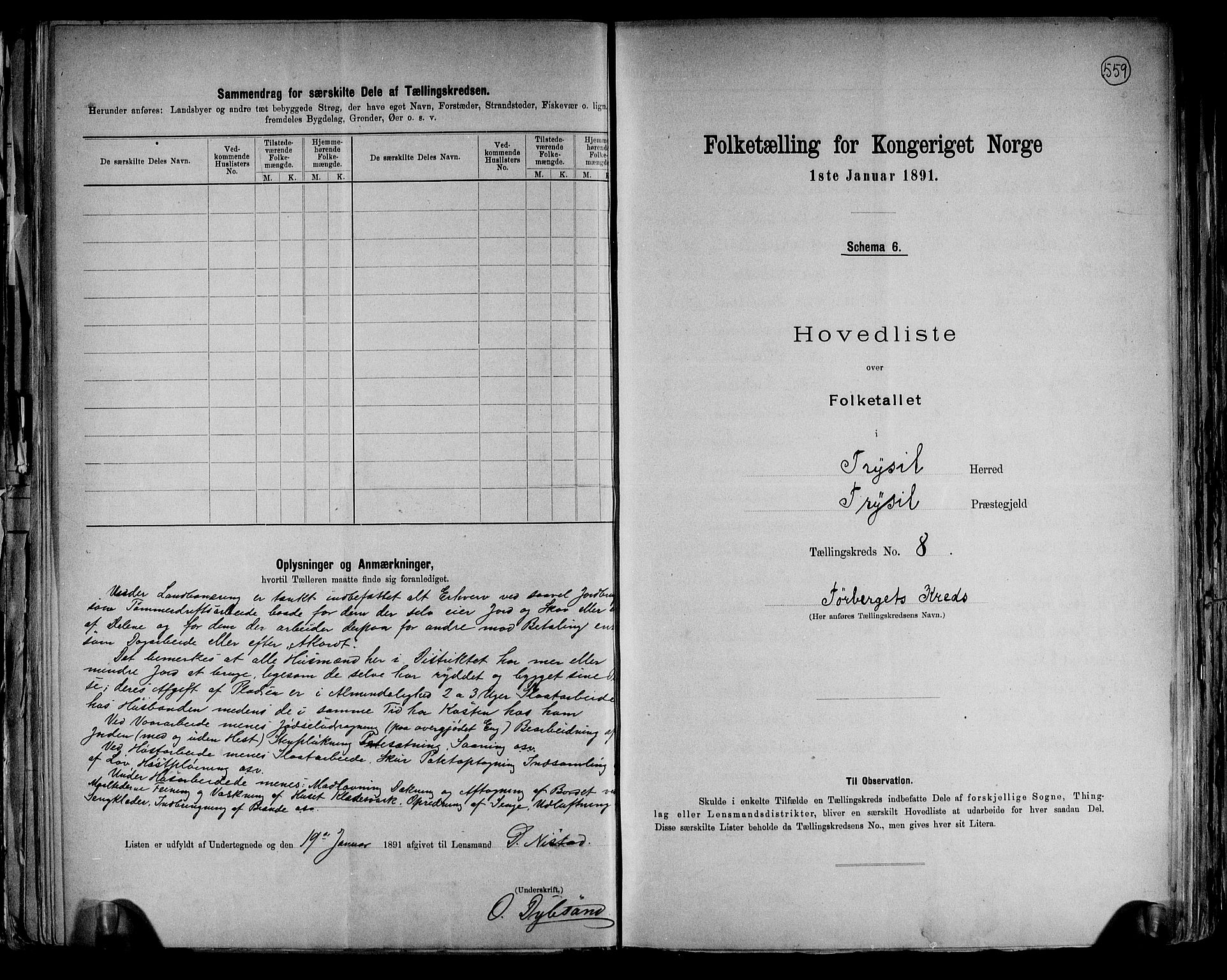 RA, Folketelling 1891 for 0428 Trysil herred, 1891, s. 21