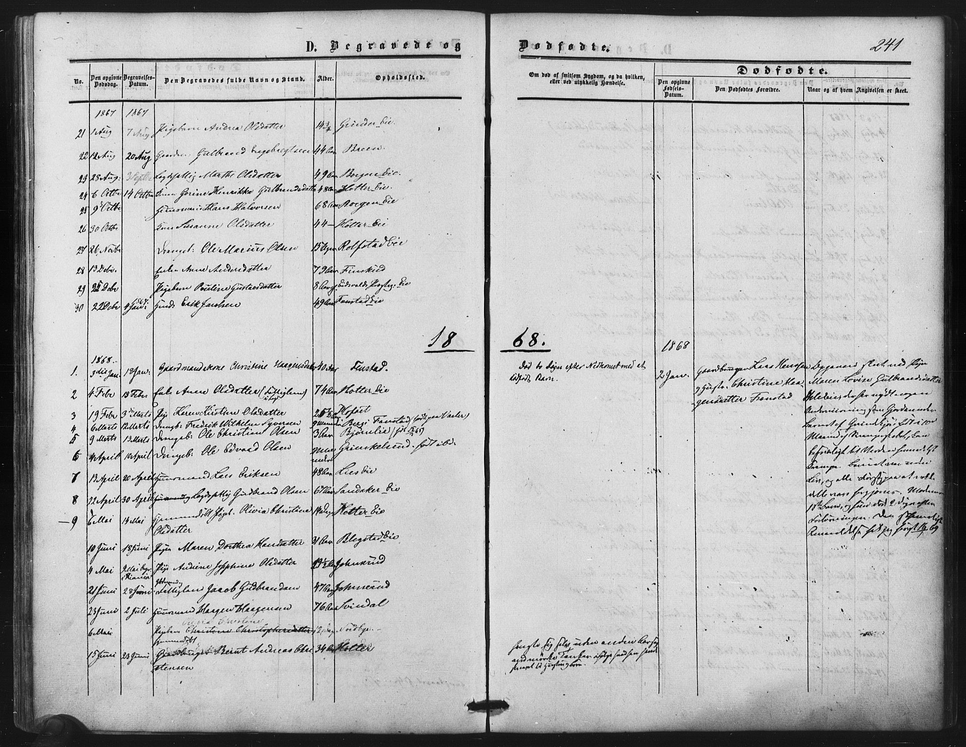 Nes prestekontor Kirkebøker, SAO/A-10410/F/Fb/L0001: Ministerialbok nr. II 1, 1859-1882, s. 241