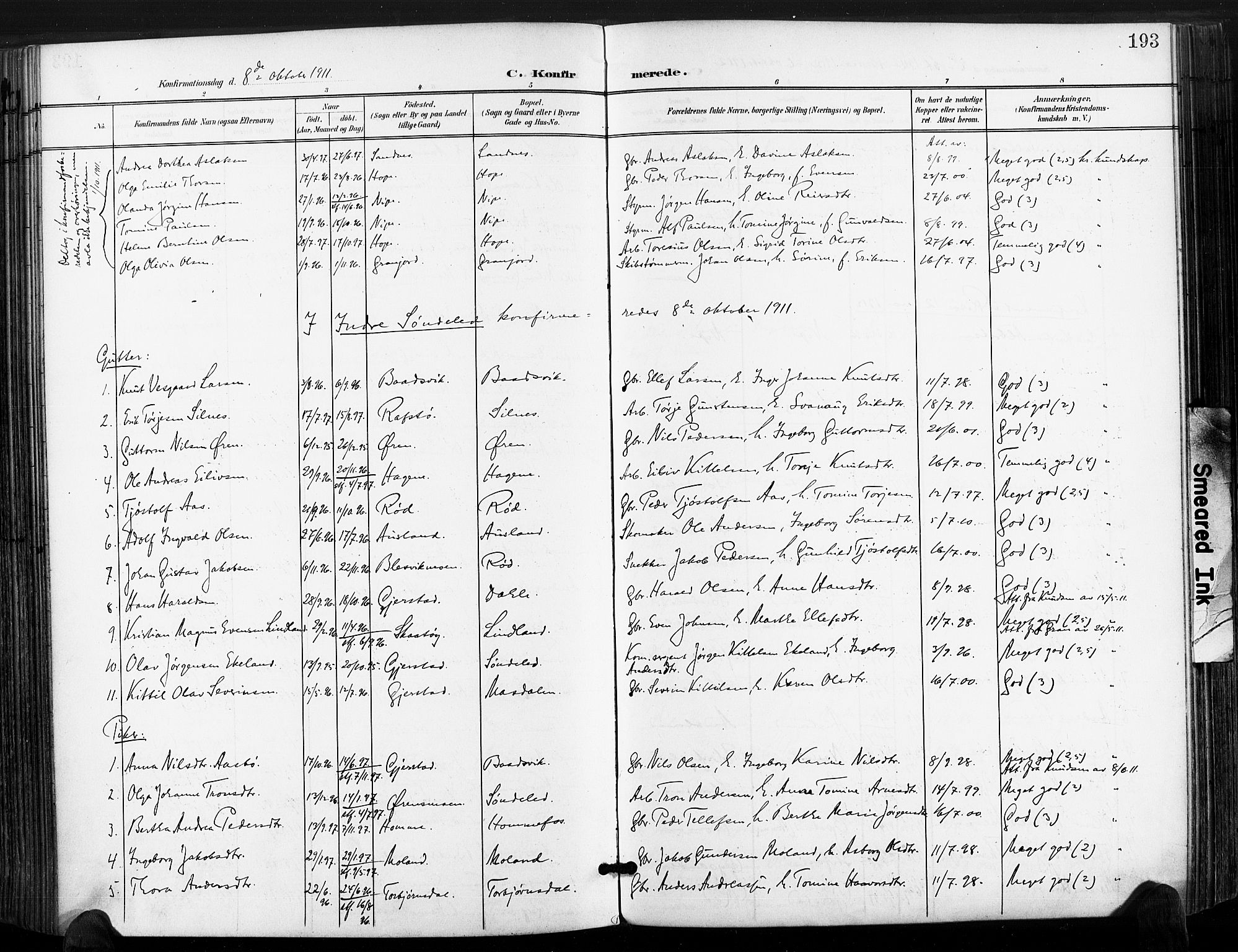 Søndeled sokneprestkontor, AV/SAK-1111-0038/F/Fa/L0006: Ministerialbok nr. A 6, 1900-1922, s. 193