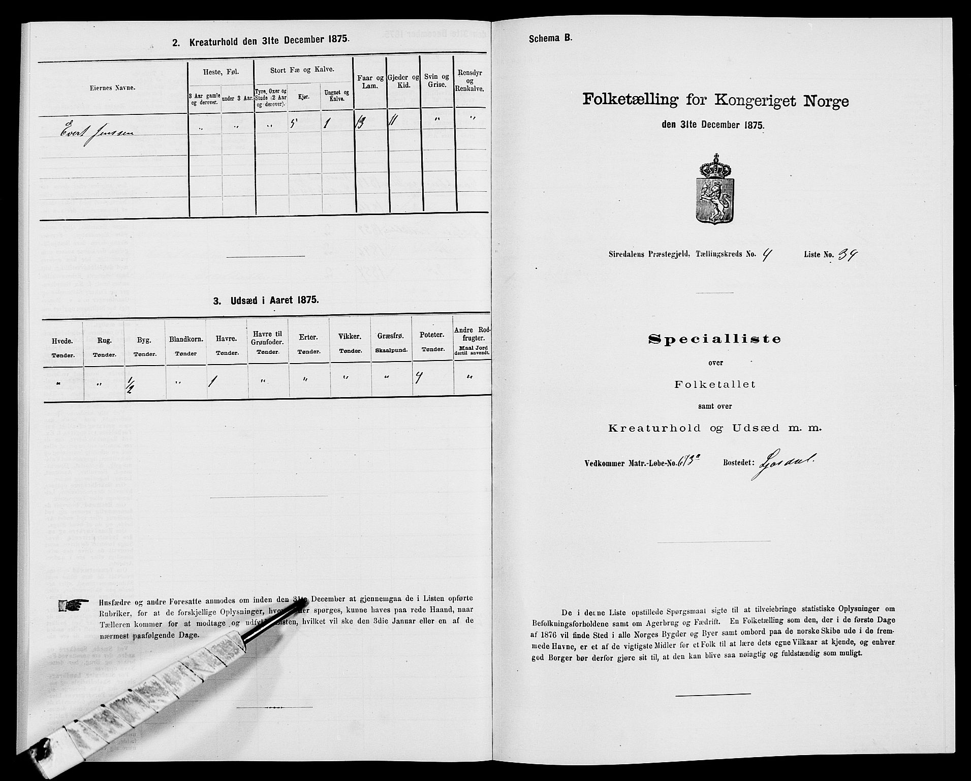 SAK, Folketelling 1875 for 1046P Sirdal prestegjeld, 1875, s. 401