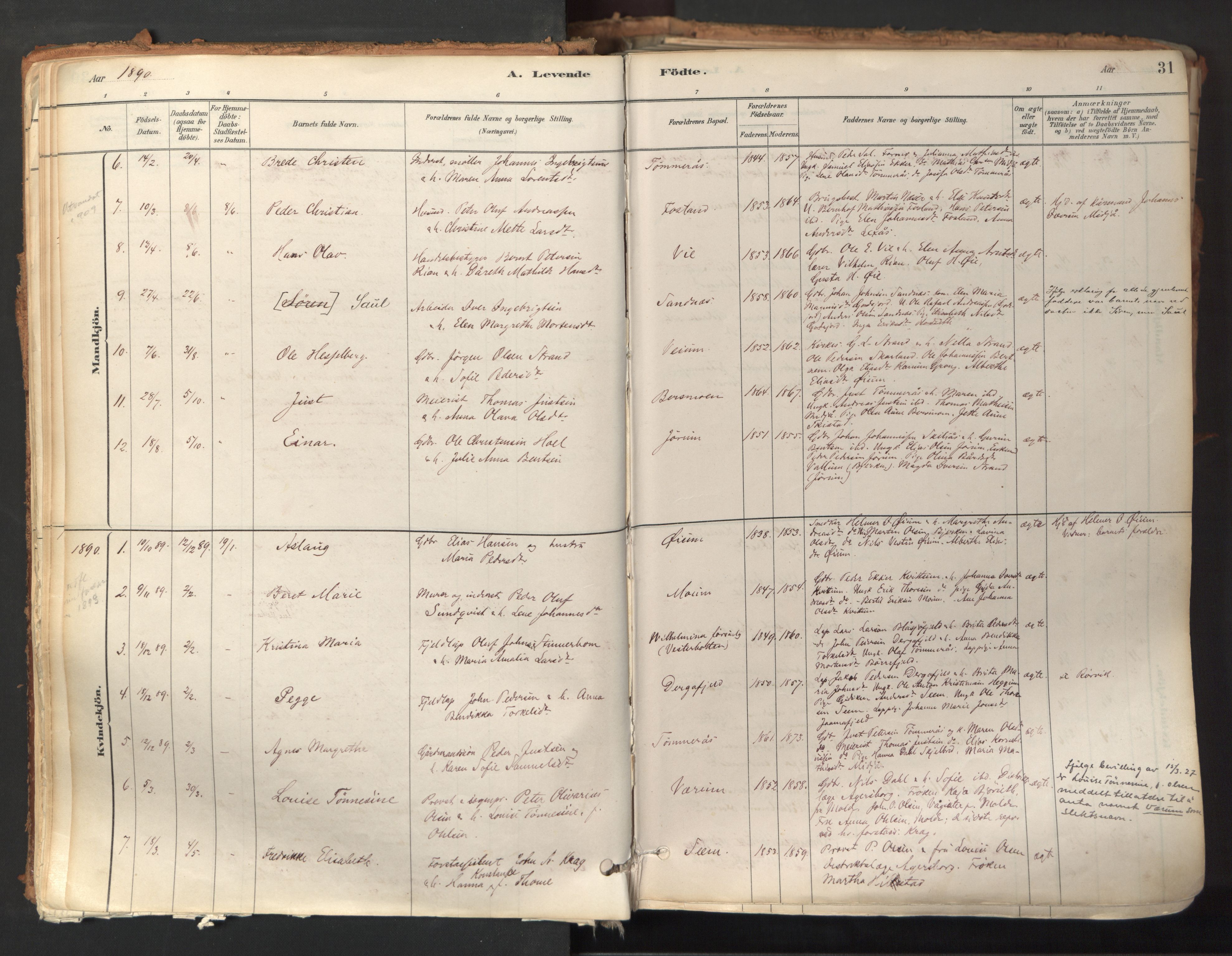 Ministerialprotokoller, klokkerbøker og fødselsregistre - Nord-Trøndelag, AV/SAT-A-1458/758/L0519: Ministerialbok nr. 758A04, 1880-1926, s. 31