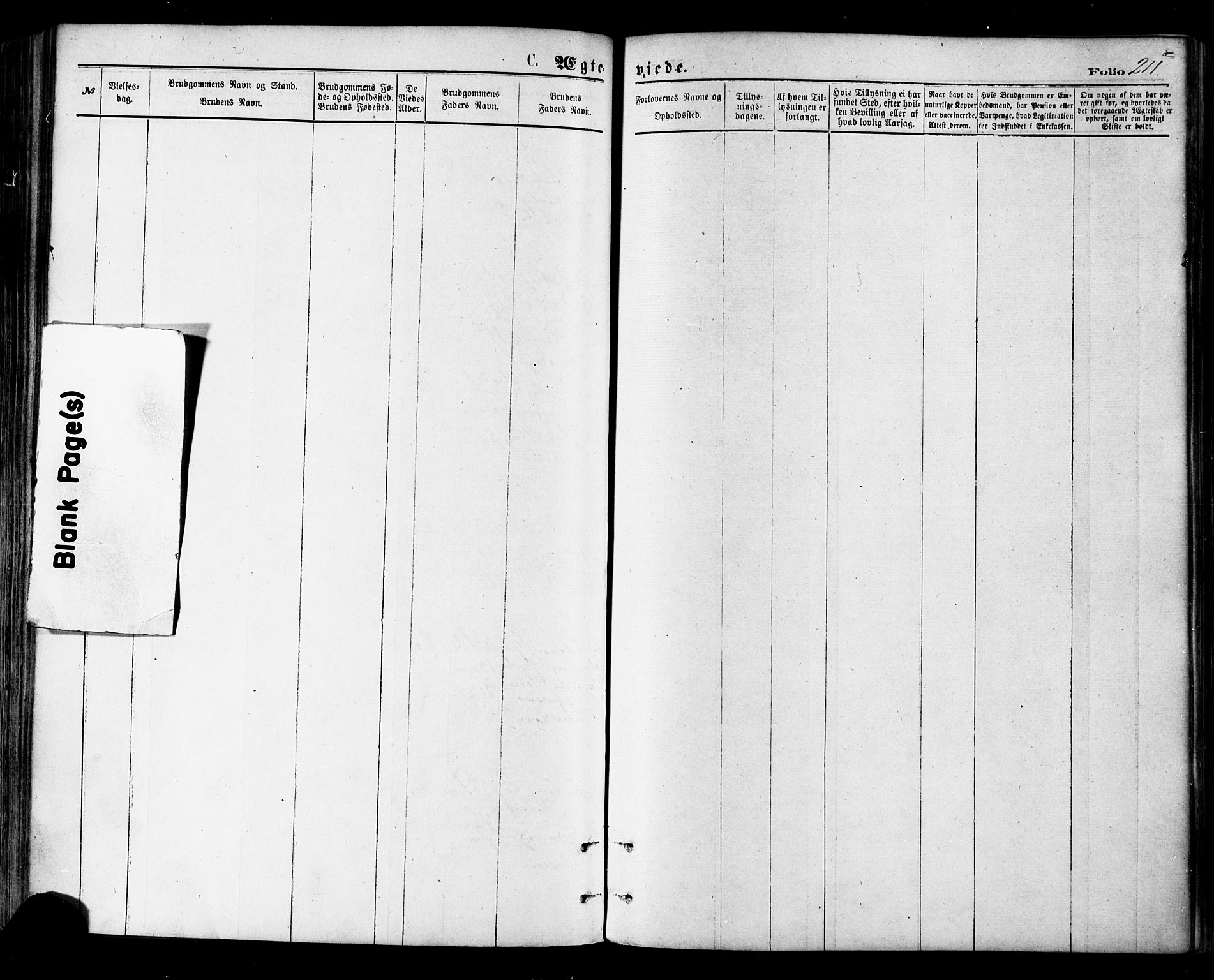 Ministerialprotokoller, klokkerbøker og fødselsregistre - Nordland, SAT/A-1459/855/L0802: Ministerialbok nr. 855A10, 1875-1886, s. 211