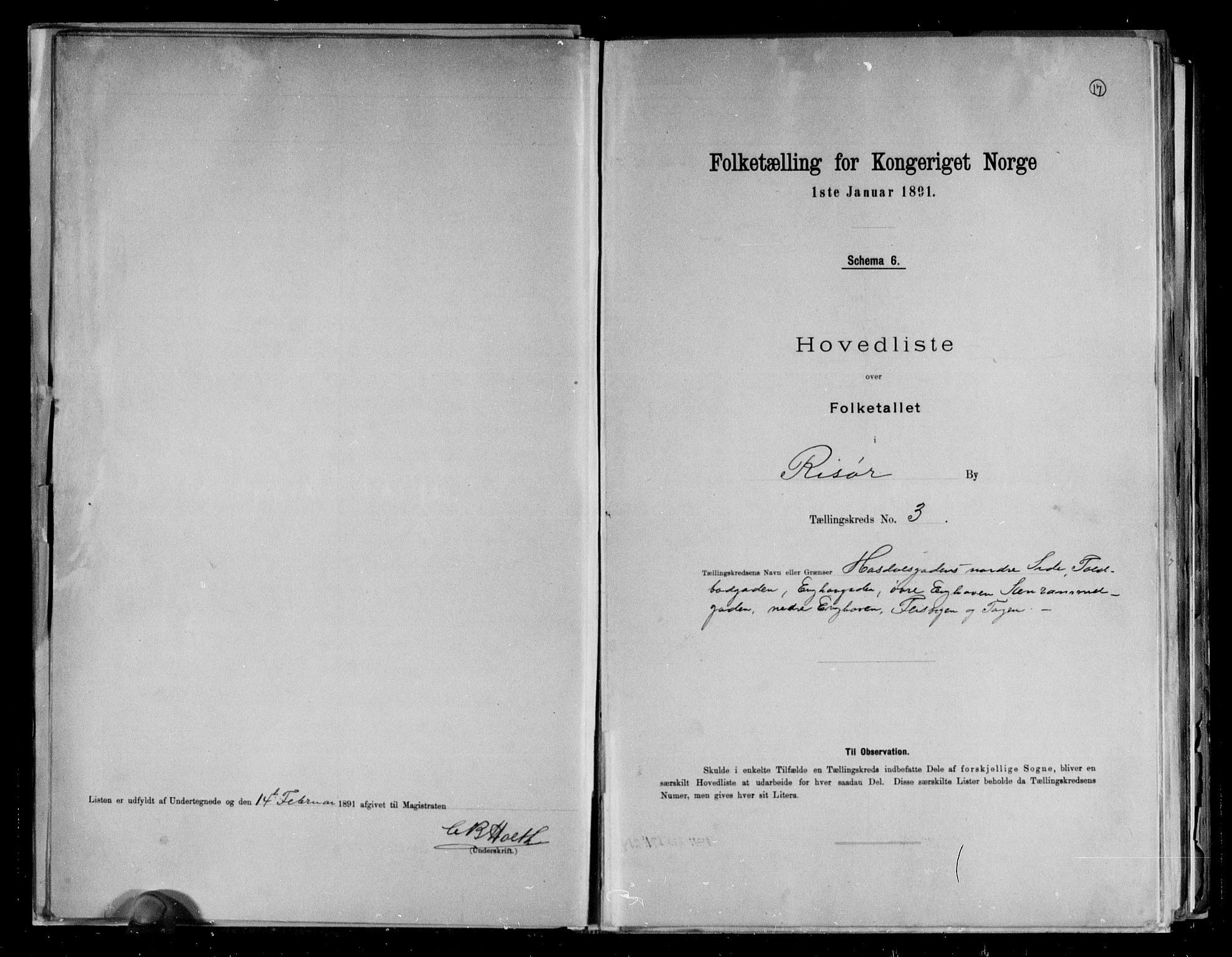RA, Folketelling 1891 for 0901 Risør kjøpstad, 1891, s. 17