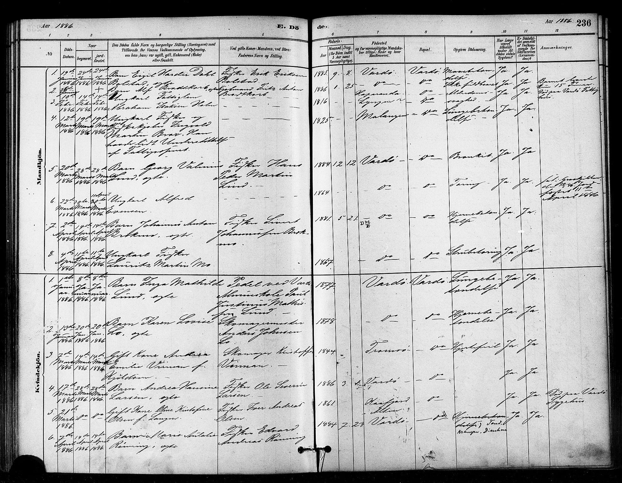 Vardø sokneprestkontor, AV/SATØ-S-1332/H/Ha/L0006kirke: Ministerialbok nr. 6, 1879-1886, s. 236