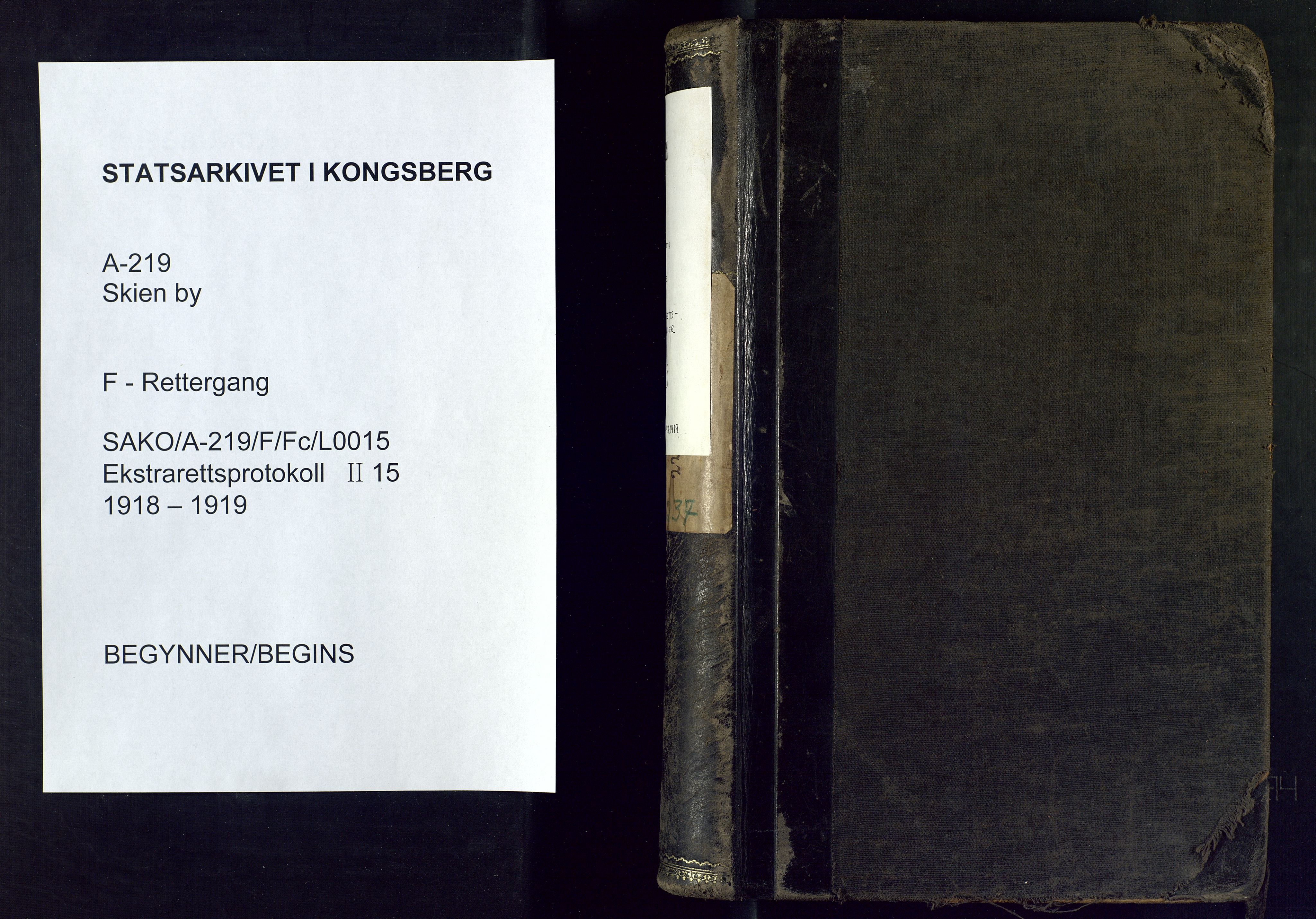 Skien byfogd, SAKO/A-219/F/Fc/L0015: Sivil ekstrarettsprotokoll., 1918-1919