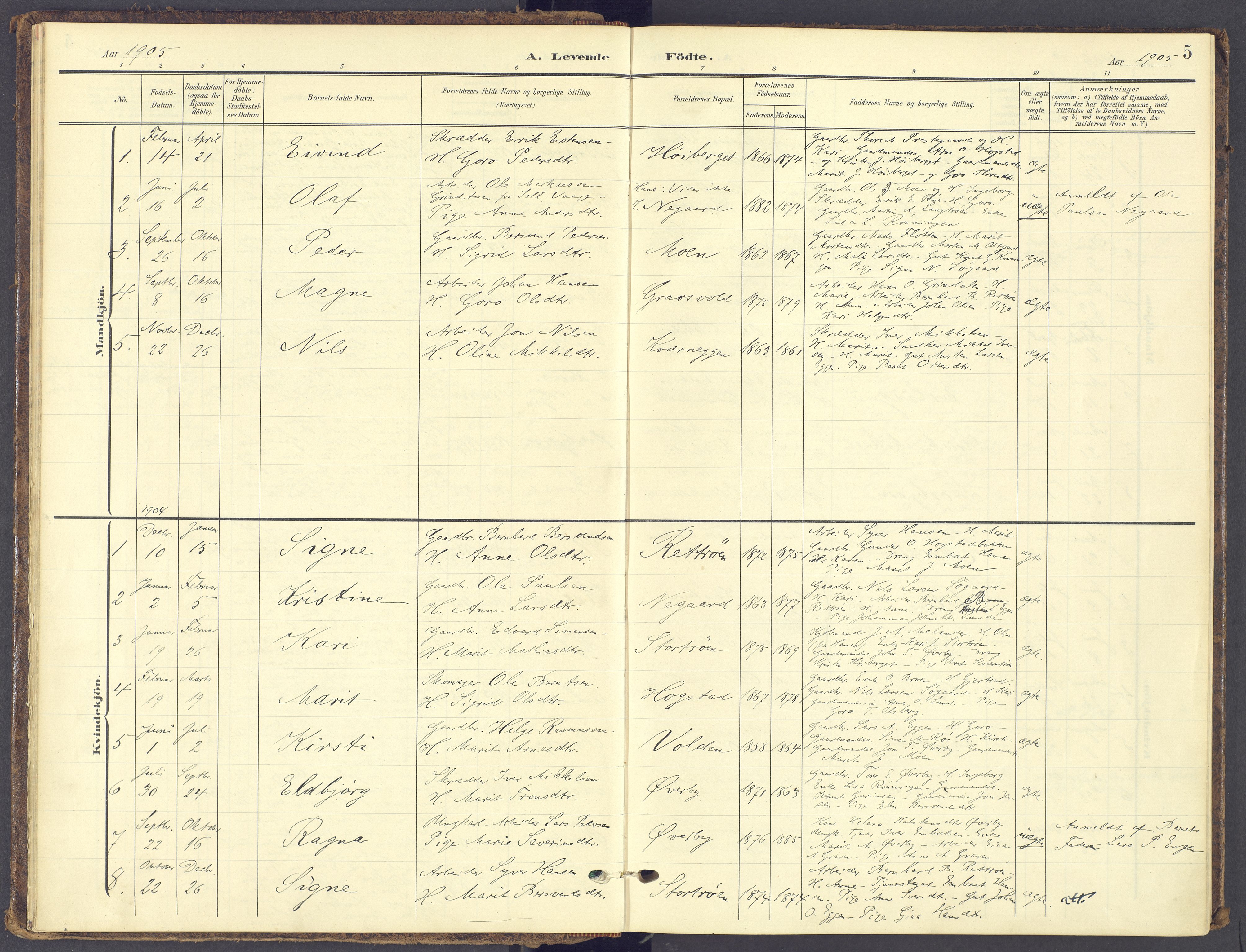 Tynset prestekontor, AV/SAH-PREST-058/H/Ha/Haa/L0028: Ministerialbok nr. 28, 1902-1929, s. 5