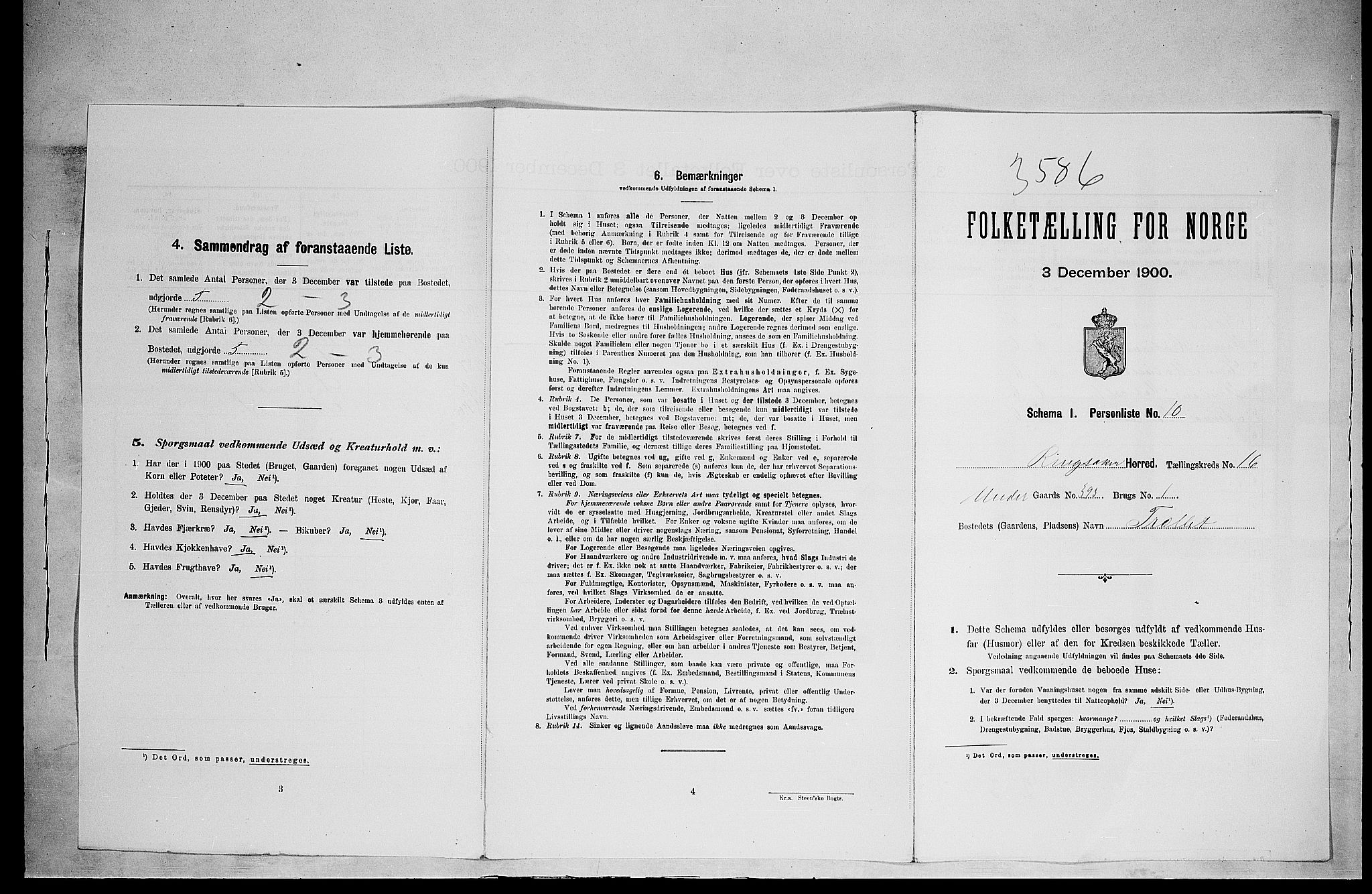 SAH, Folketelling 1900 for 0412 Ringsaker herred, 1900, s. 2972