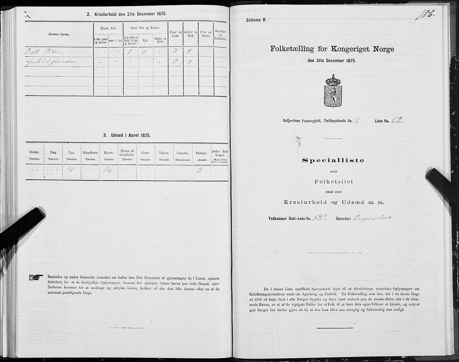 SAT, Folketelling 1875 for 1630P Aafjorden prestegjeld, 1875, s. 1186