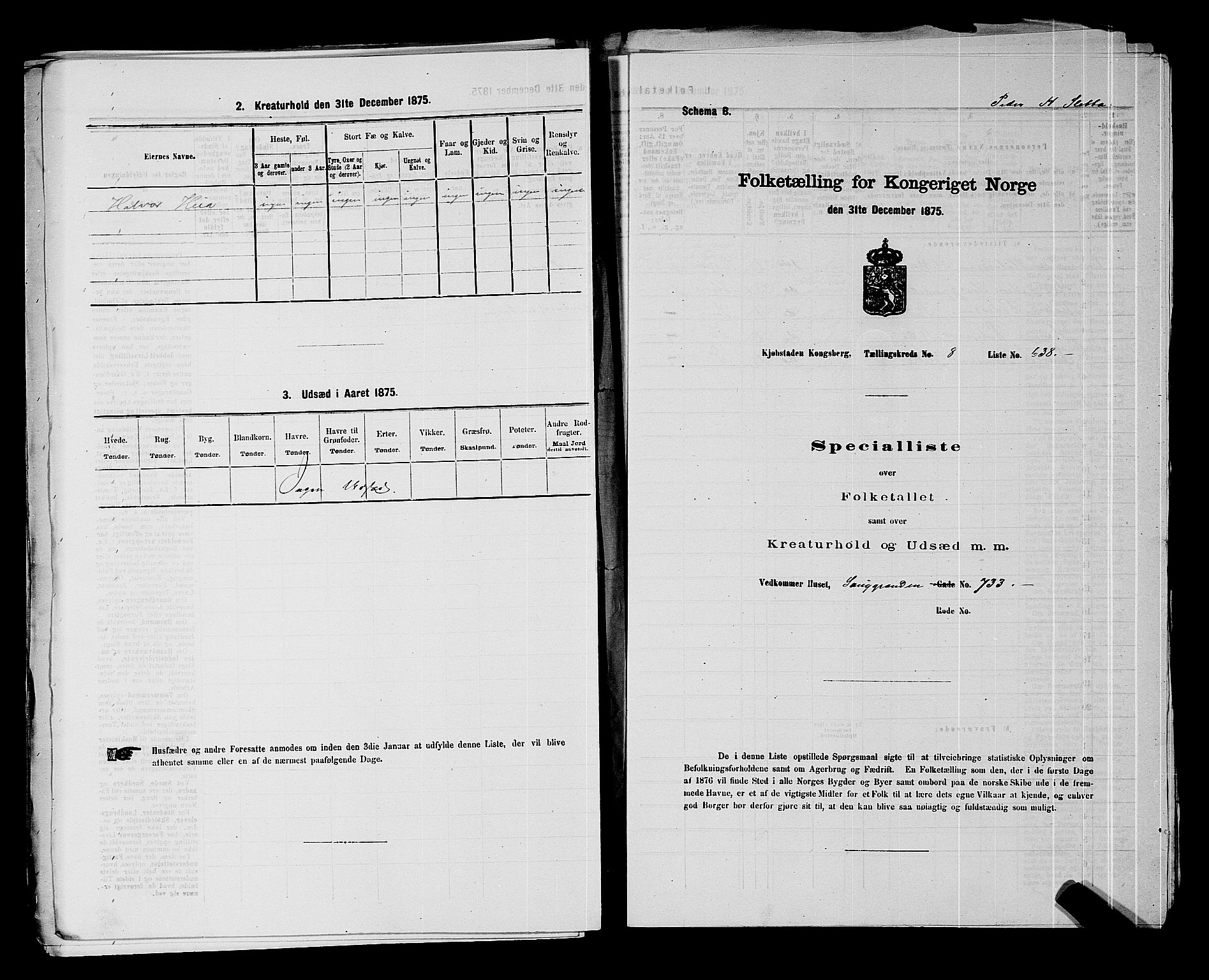 SAKO, Folketelling 1875 for 0604B Kongsberg prestegjeld, Kongsberg kjøpstad, 1875, s. 1407