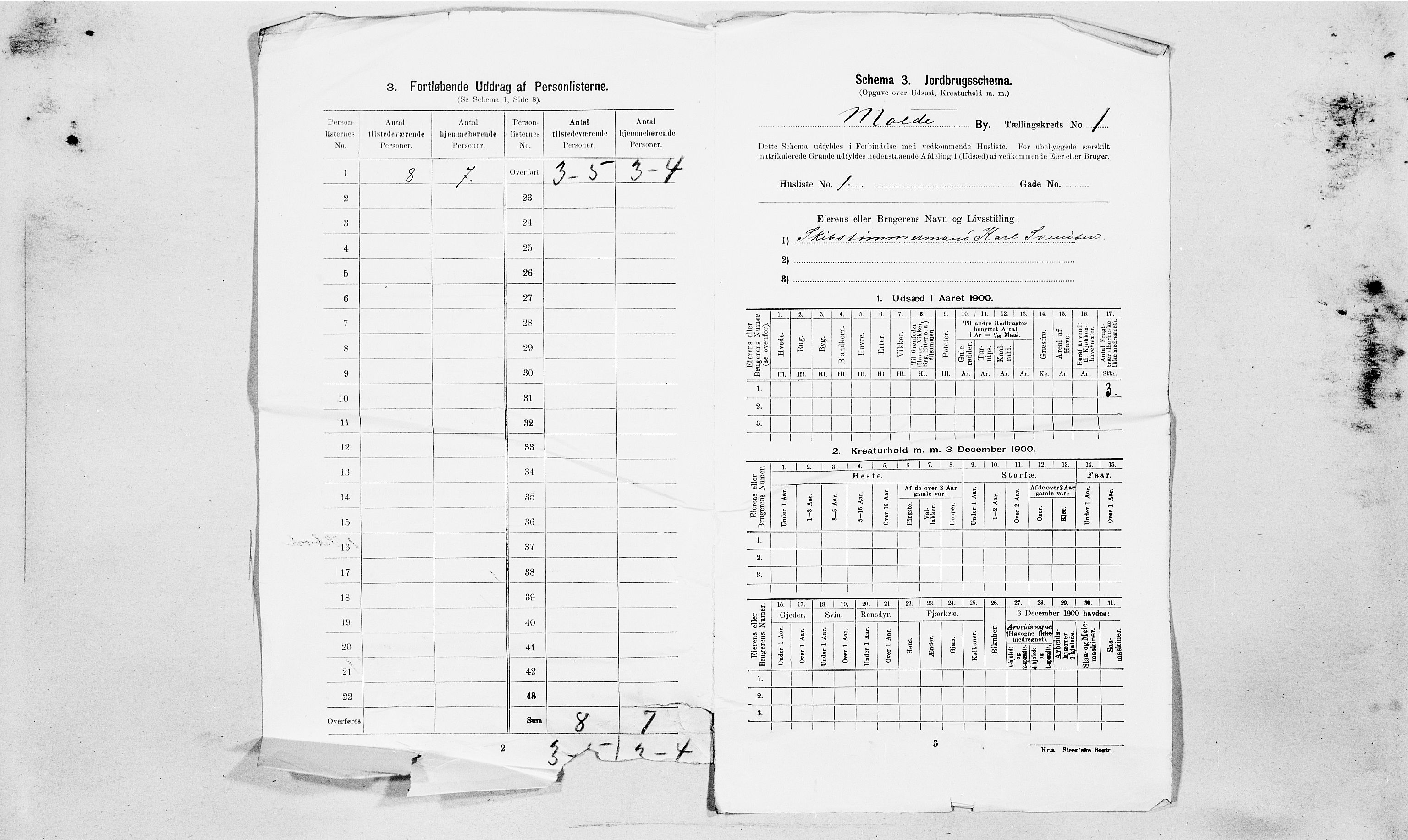 SAT, Folketelling 1900 for 1502 Molde kjøpstad, 1900, s. 12