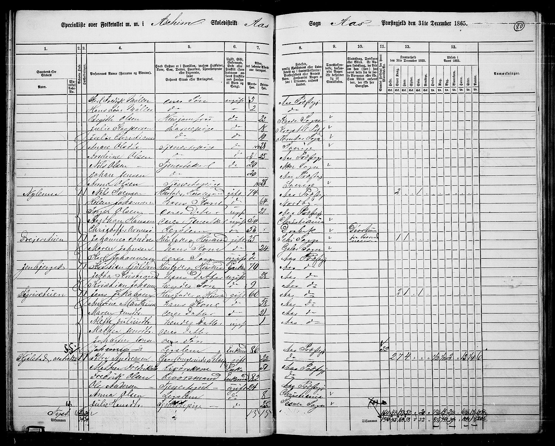 RA, Folketelling 1865 for 0214P Ås prestegjeld, 1865, s. 70
