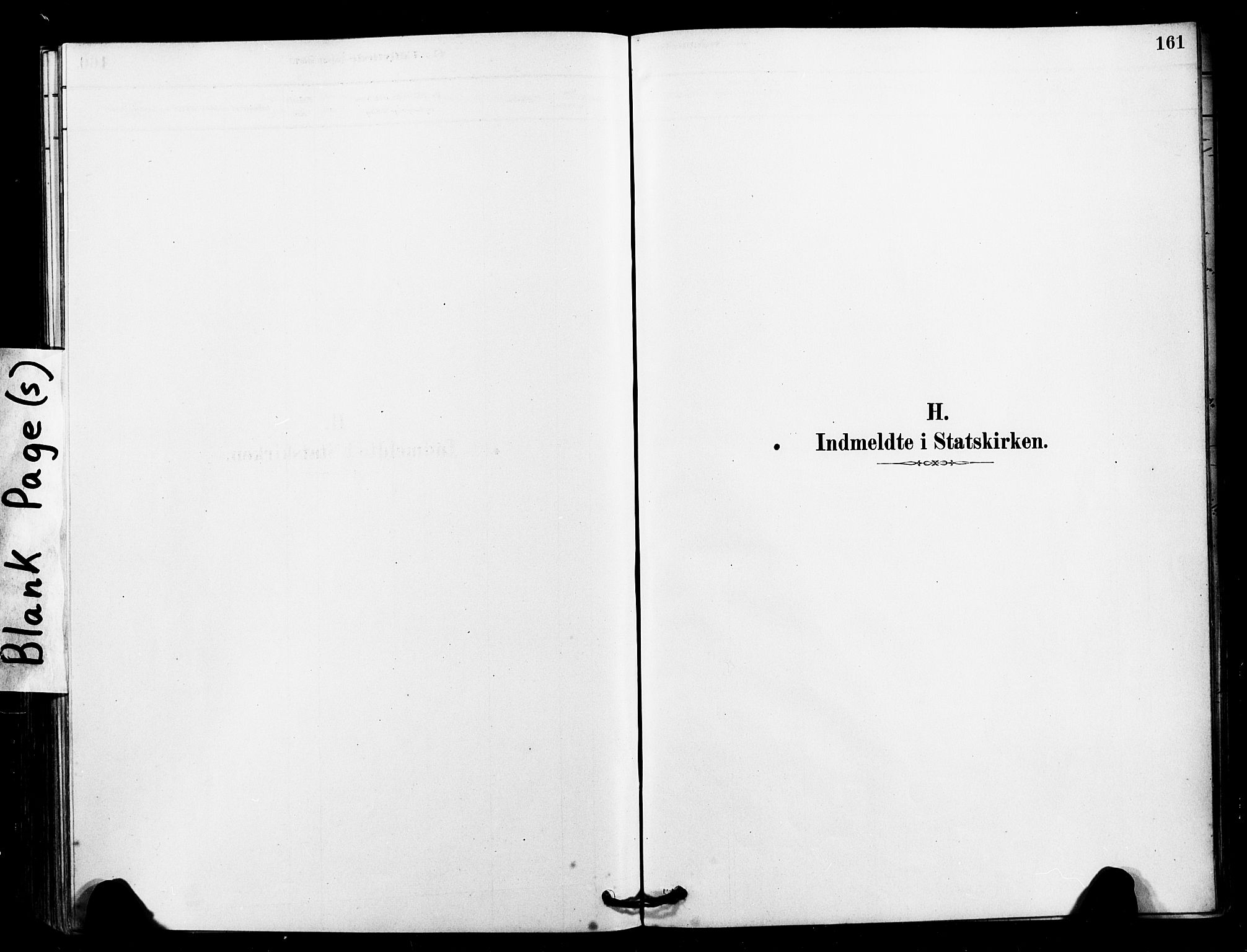 Ministerialprotokoller, klokkerbøker og fødselsregistre - Sør-Trøndelag, AV/SAT-A-1456/641/L0595: Ministerialbok nr. 641A01, 1882-1897, s. 161