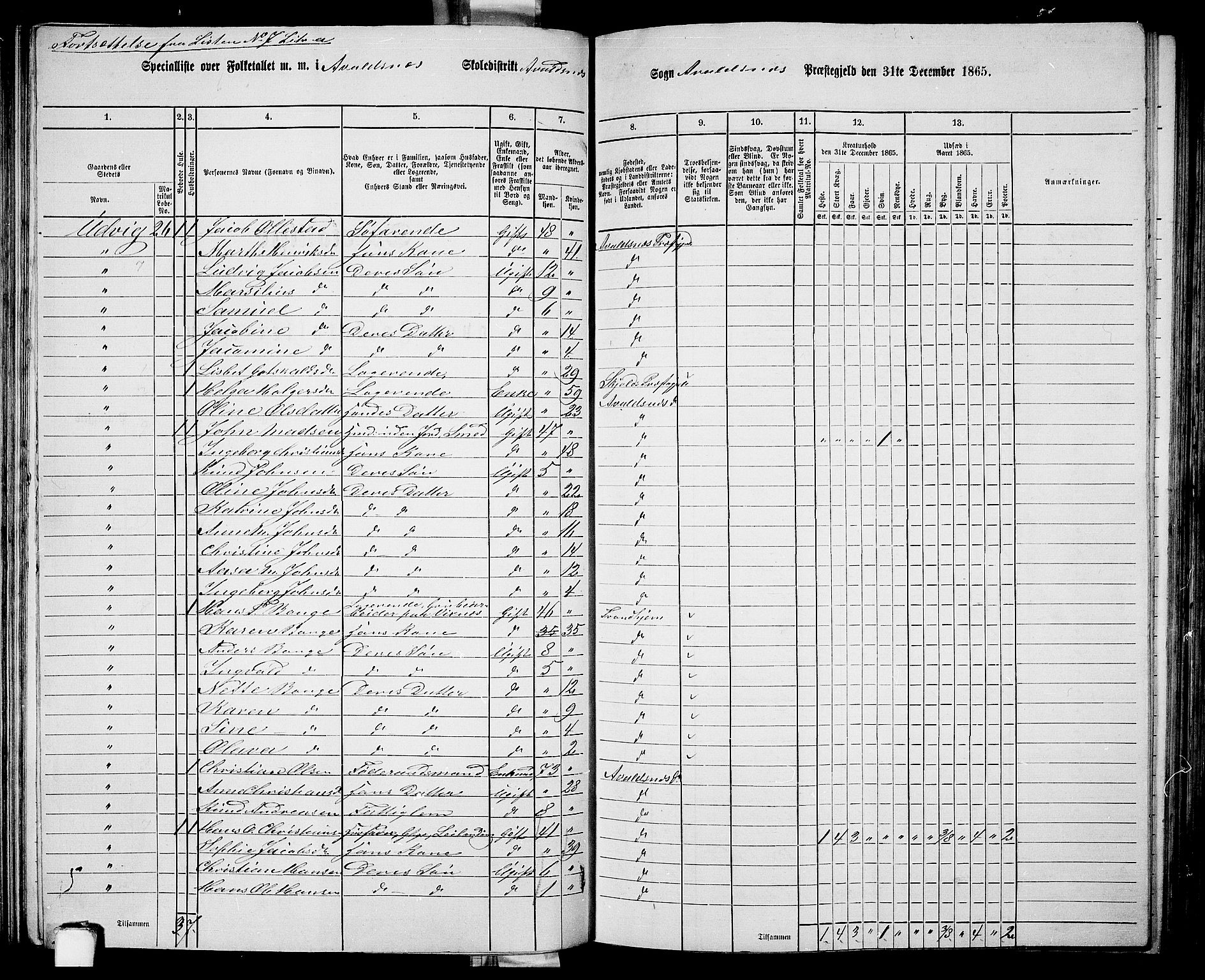 RA, Folketelling 1865 for 1147P Avaldsnes prestegjeld, 1865, s. 110