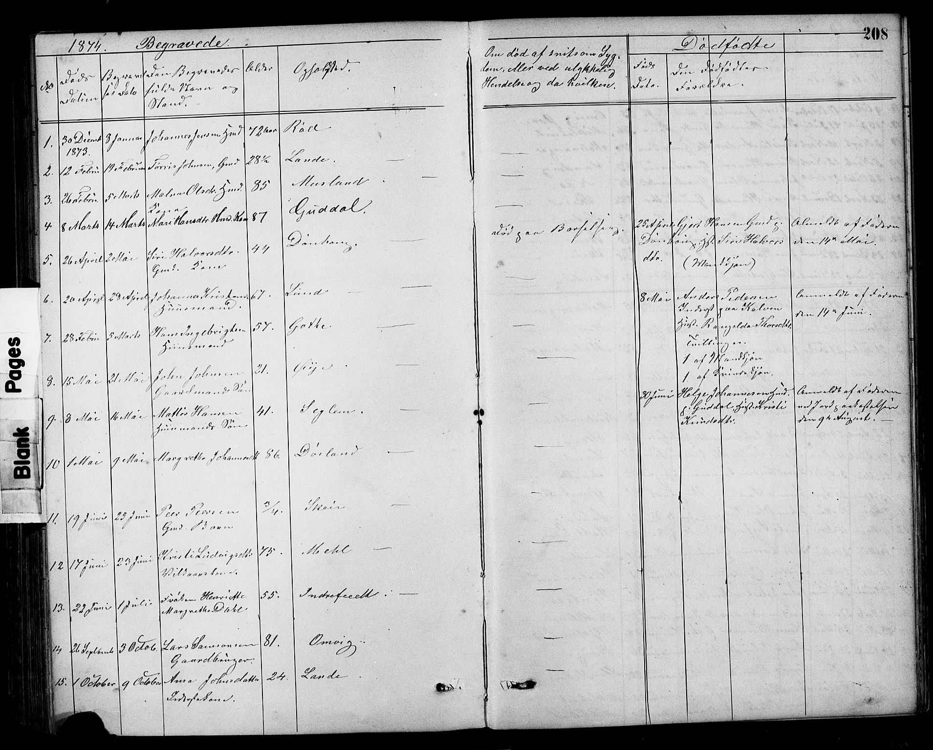 Kvinnherad sokneprestembete, AV/SAB-A-76401/H/Hab: Klokkerbok nr. A 2, 1873-1900, s. 208
