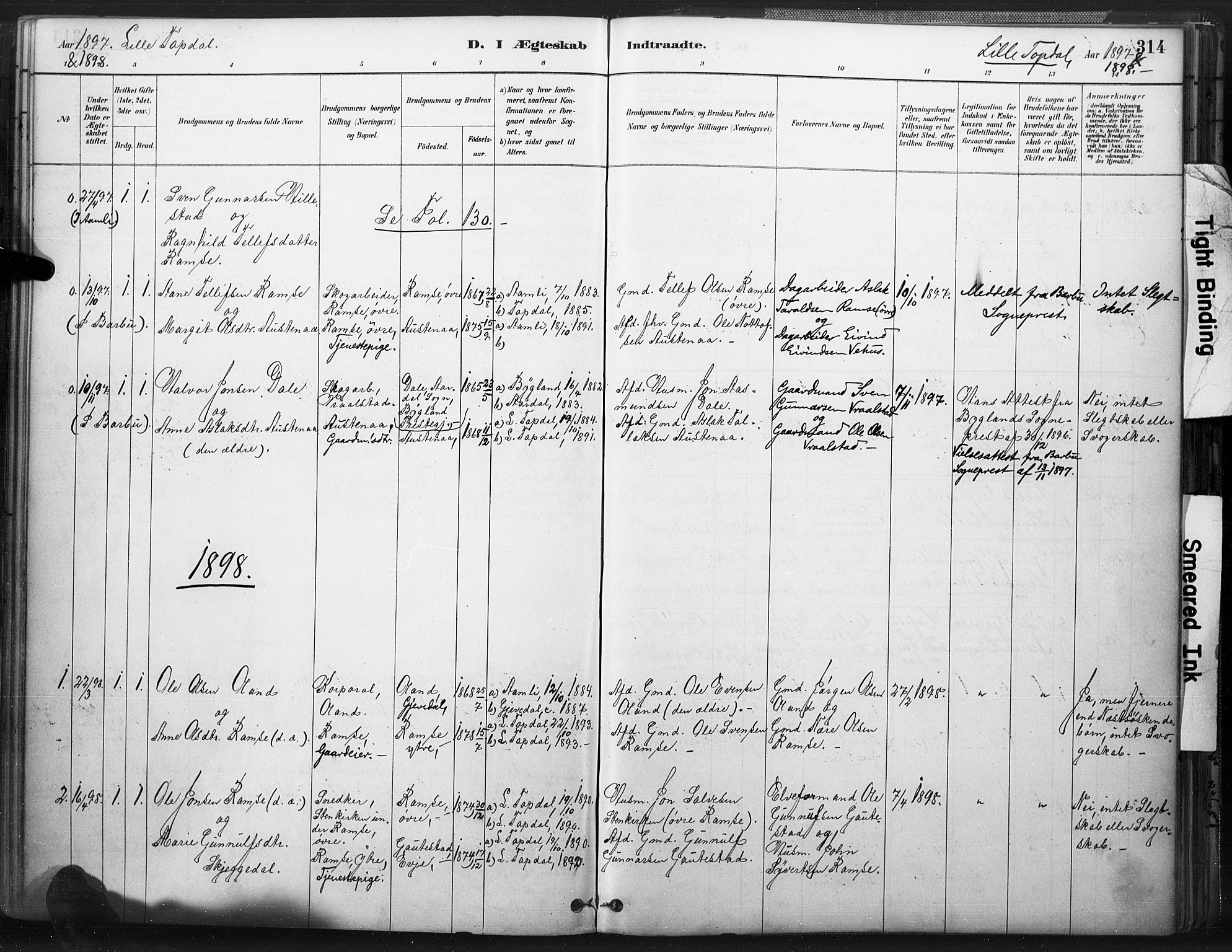 Åmli sokneprestkontor, AV/SAK-1111-0050/F/Fa/Fac/L0010: Ministerialbok nr. A 10 /3, 1885-1899, s. 314