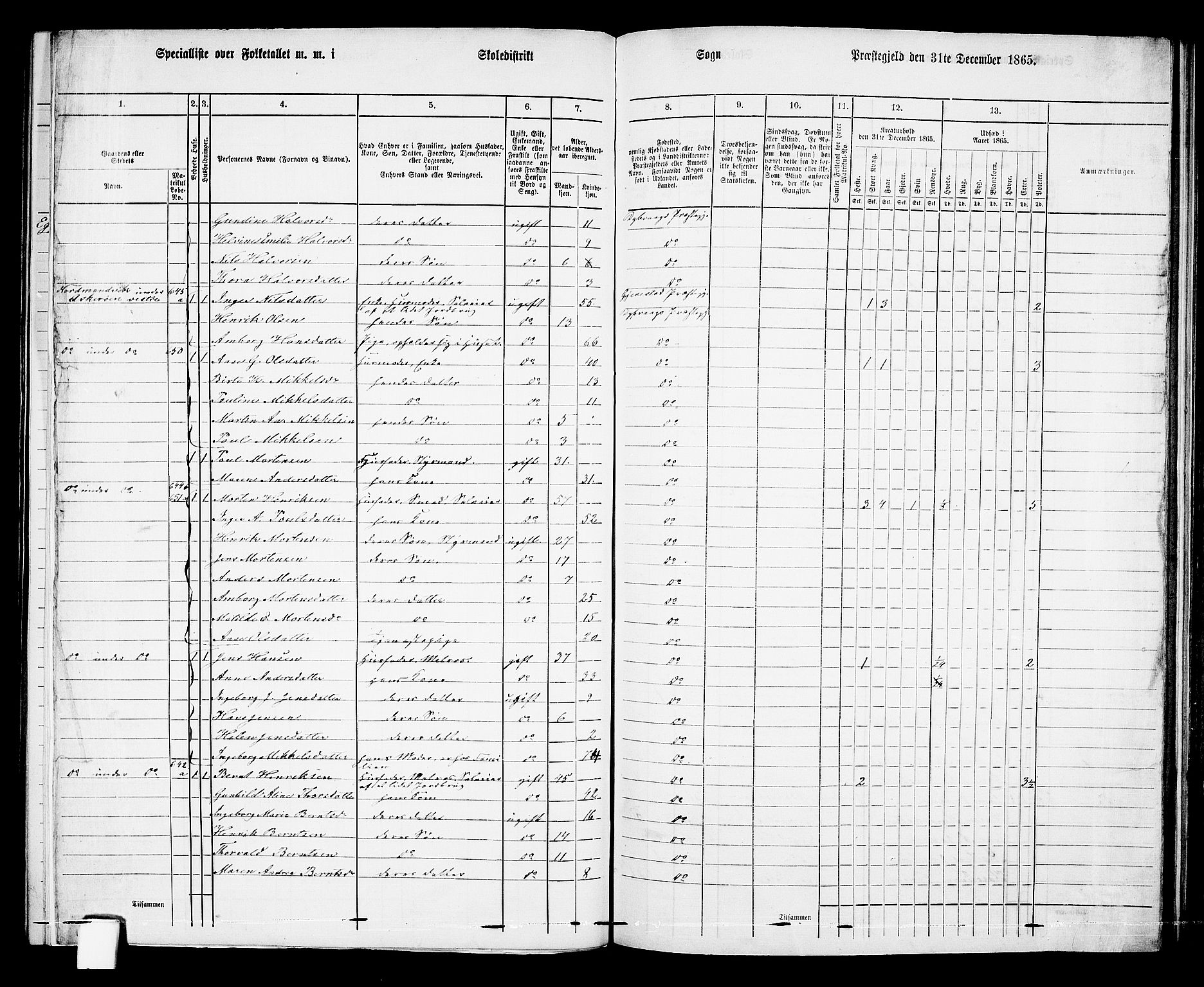 RA, Folketelling 1865 for 0915P Dypvåg prestegjeld, 1865, s. 97