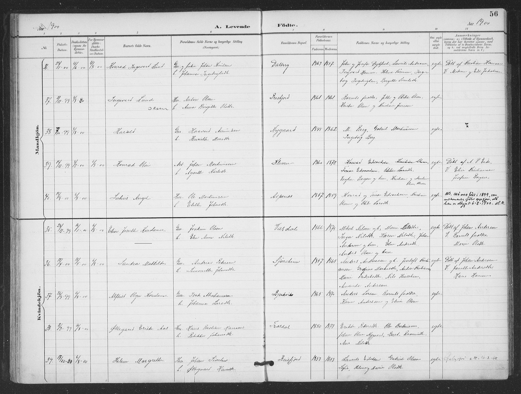 Ministerialprotokoller, klokkerbøker og fødselsregistre - Nordland, SAT/A-1459/866/L0939: Ministerialbok nr. 866A02, 1894-1906, s. 56
