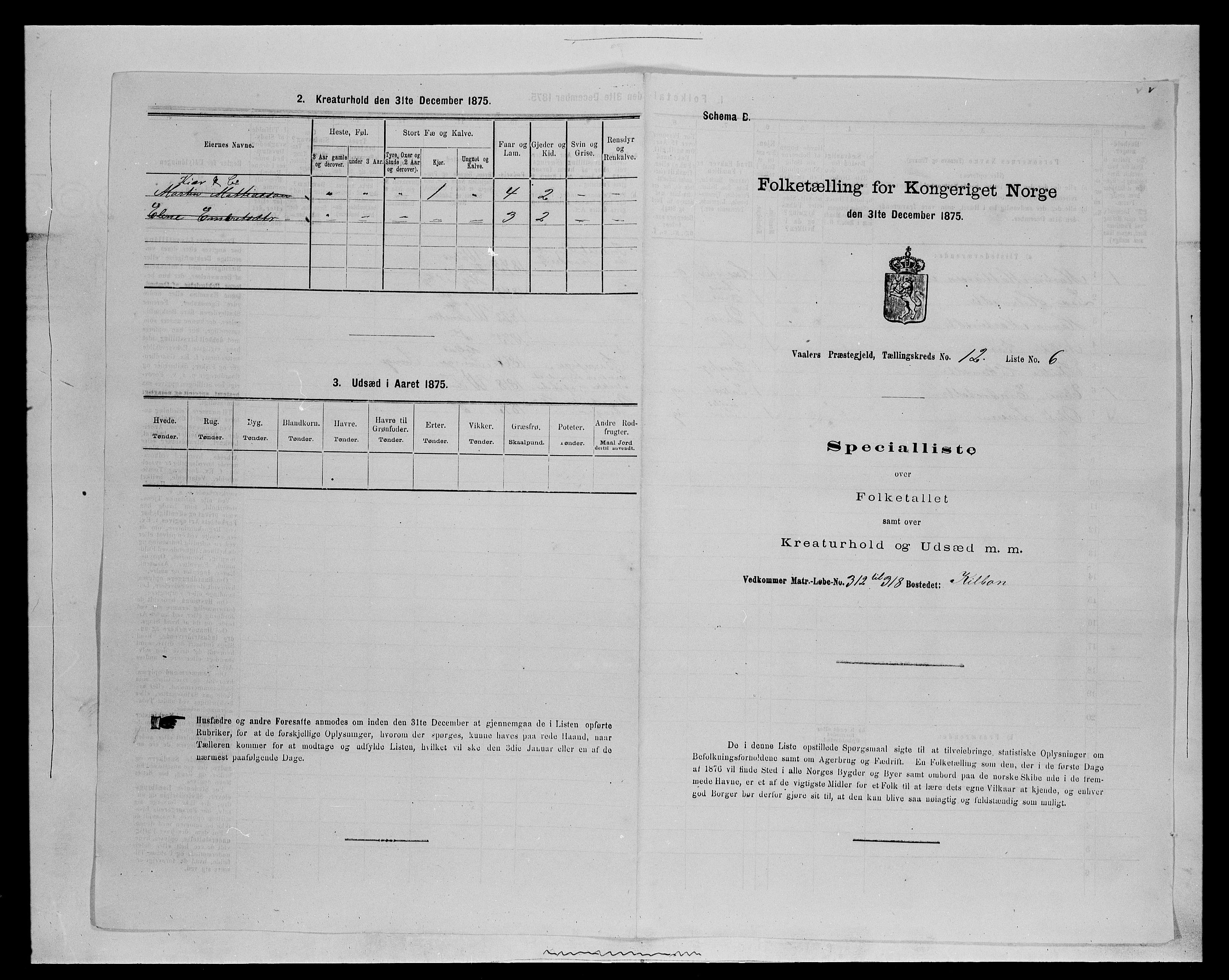 SAH, Folketelling 1875 for 0426P Våler prestegjeld (Hedmark), 1875, s. 1375