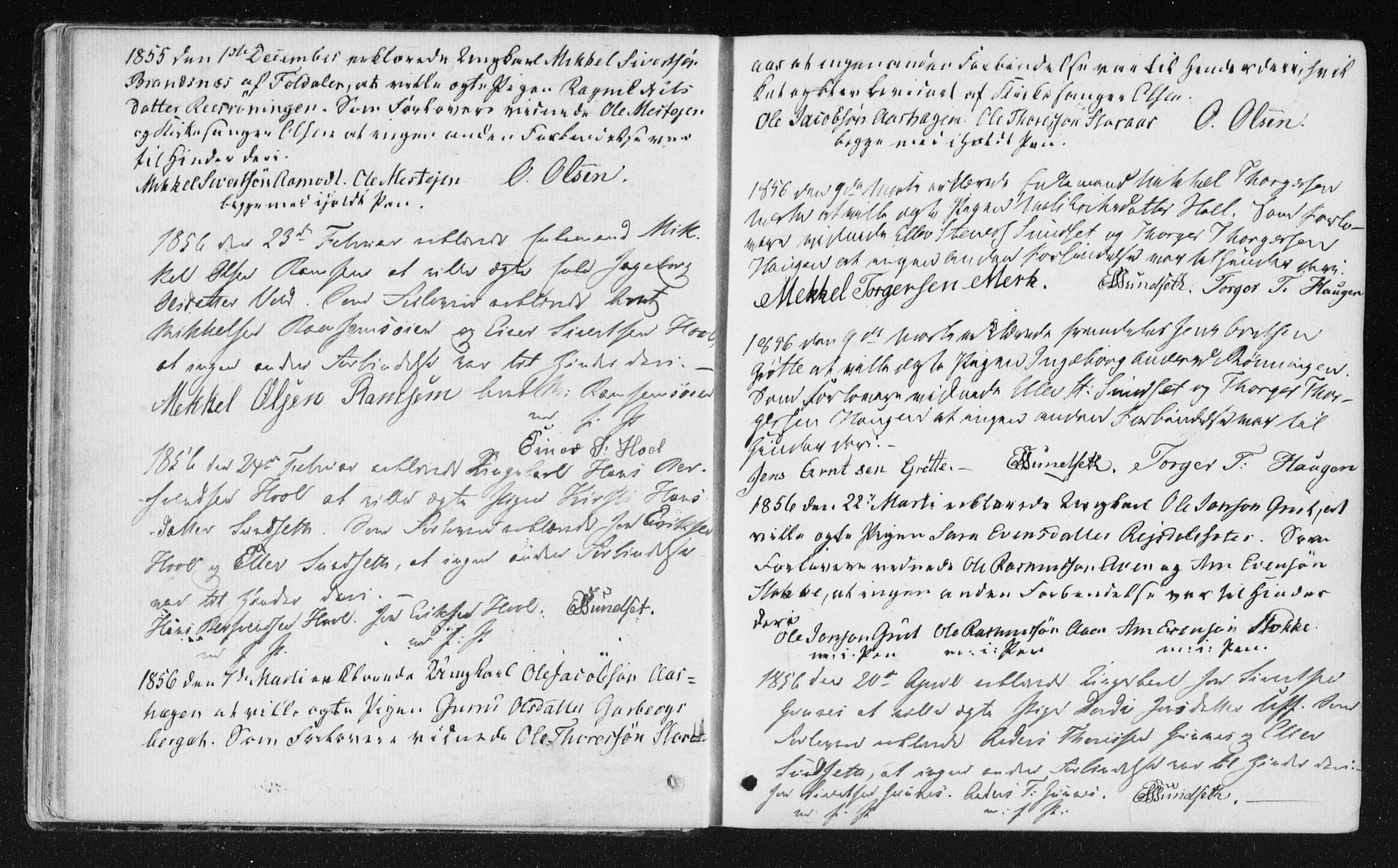 Ministerialprotokoller, klokkerbøker og fødselsregistre - Sør-Trøndelag, AV/SAT-A-1456/672/L0859: Ministerialbok nr. 672A11, 1852-1900