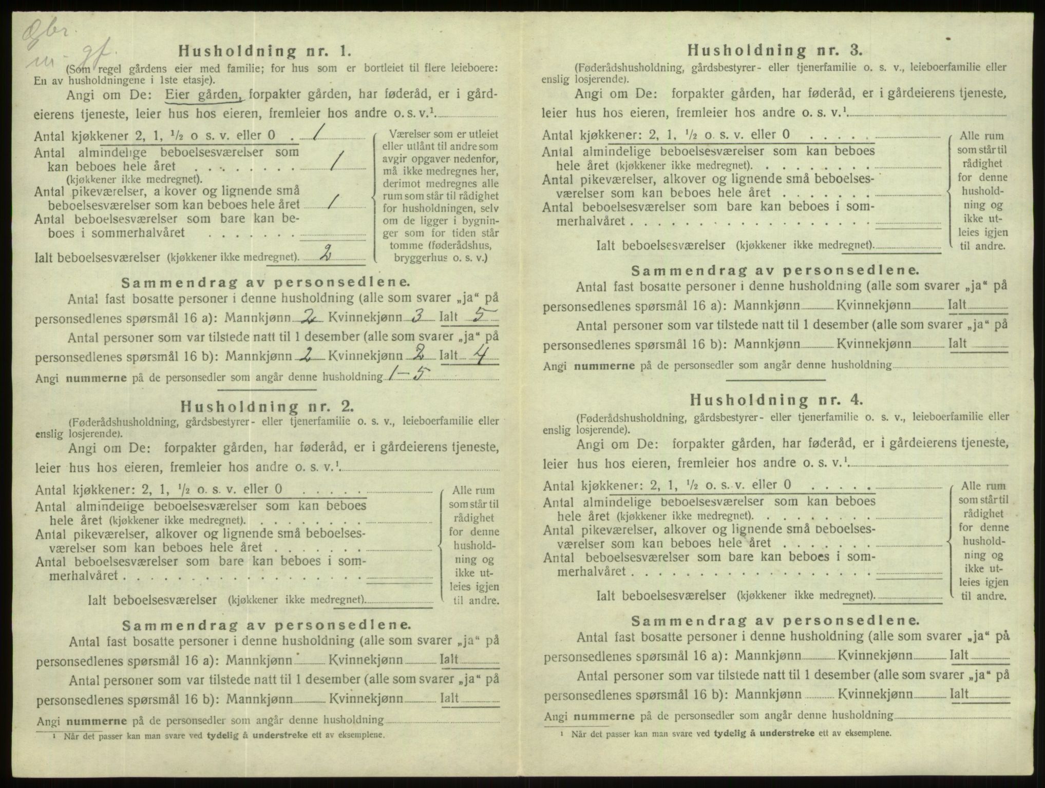 SAB, Folketelling 1920 for 1444 Hornindal herred, 1920, s. 498