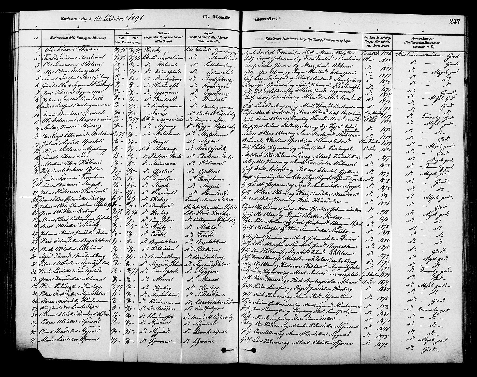 Alvdal prestekontor, AV/SAH-PREST-060/H/Ha/Hab/L0003: Klokkerbok nr. 3, 1878-1907, s. 237