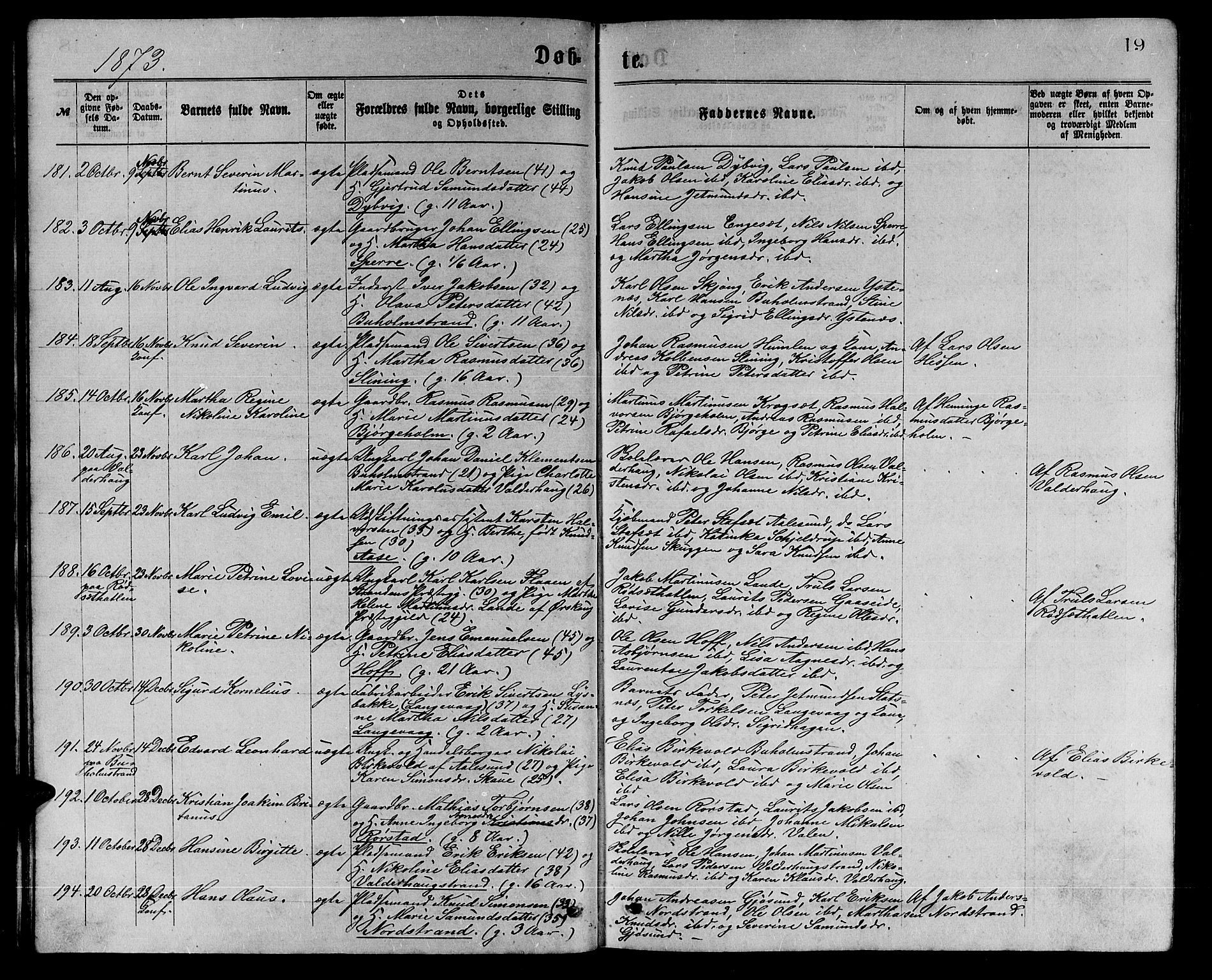 Ministerialprotokoller, klokkerbøker og fødselsregistre - Møre og Romsdal, AV/SAT-A-1454/528/L0429: Klokkerbok nr. 528C10, 1872-1886, s. 19