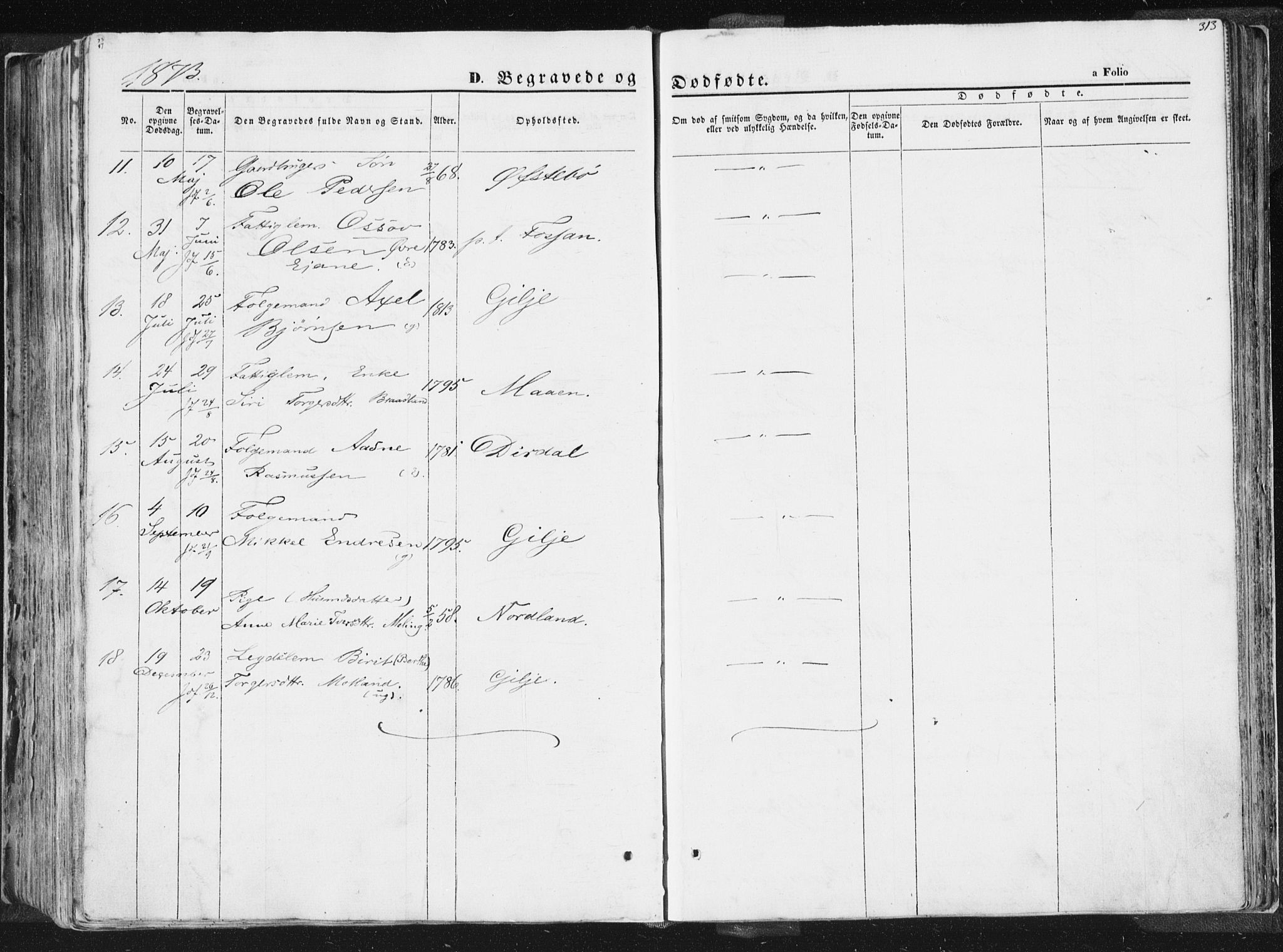 Høgsfjord sokneprestkontor, AV/SAST-A-101624/H/Ha/Haa/L0001: Ministerialbok nr. A 1, 1854-1875, s. 313