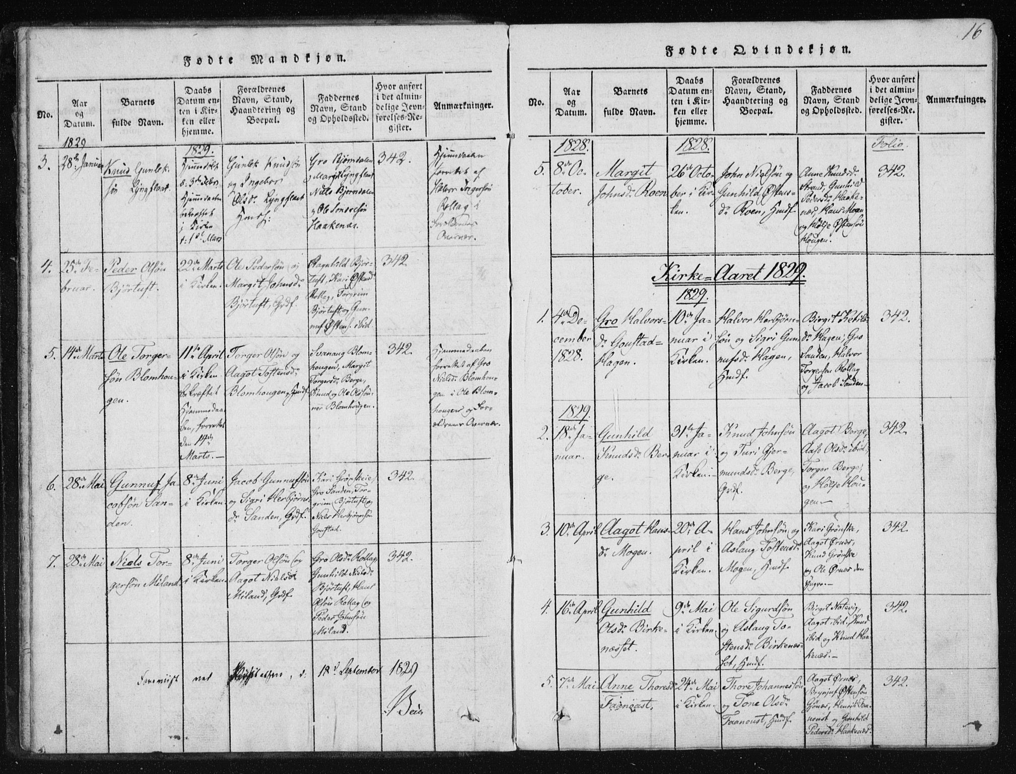 Tinn kirkebøker, AV/SAKO-A-308/F/Fb/L0001: Ministerialbok nr. II 1, 1815-1843, s. 16