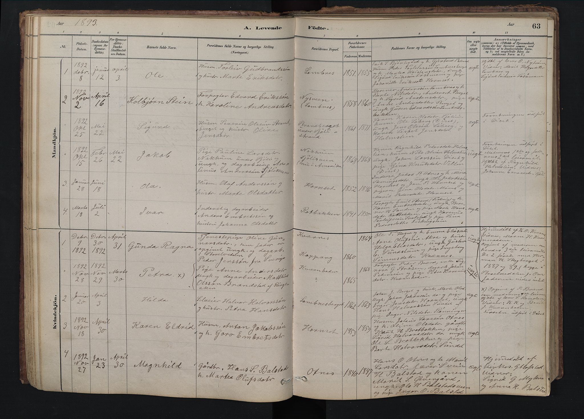 Rendalen prestekontor, AV/SAH-PREST-054/H/Ha/Hab/L0009: Klokkerbok nr. 9, 1879-1902, s. 63