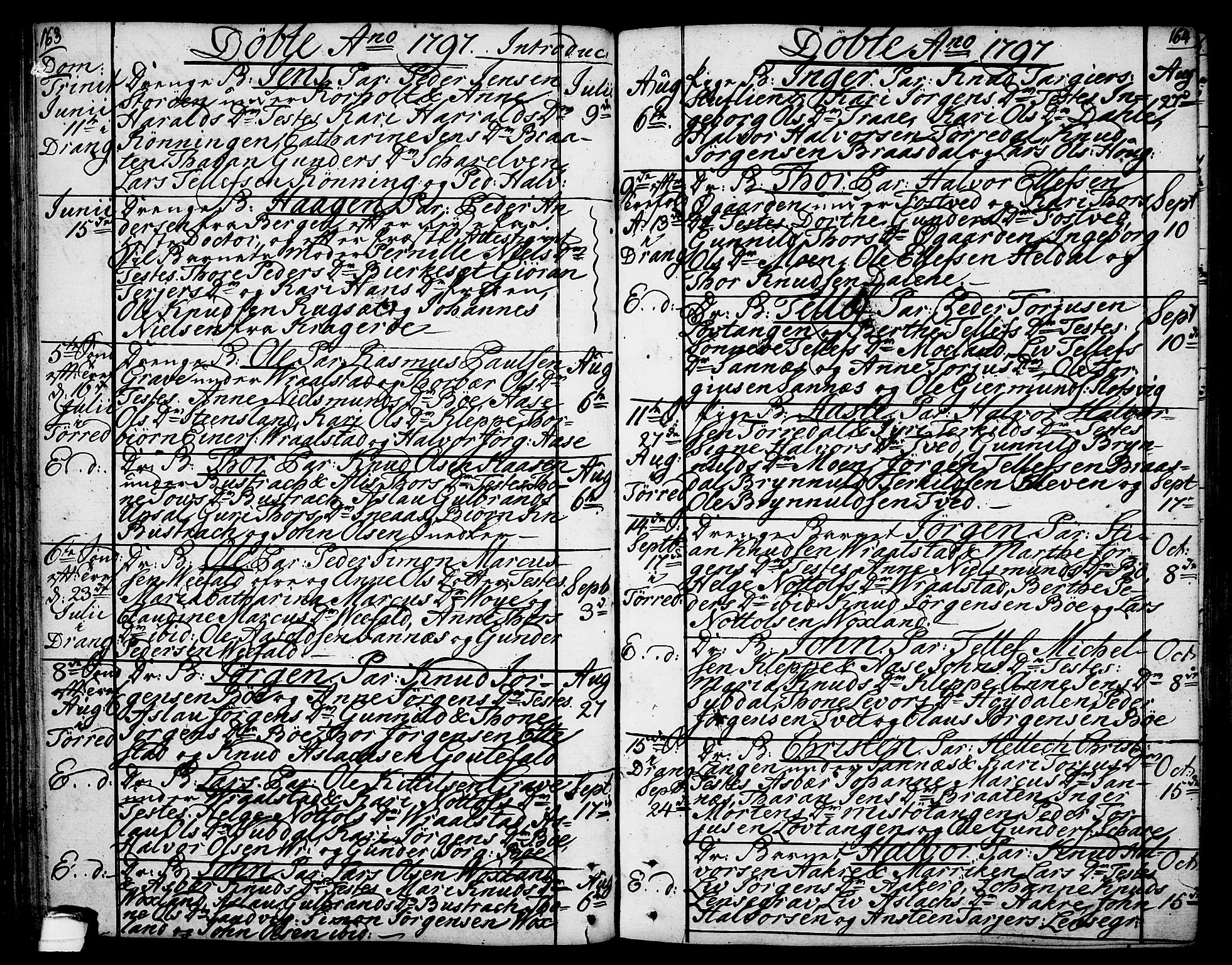 Drangedal kirkebøker, SAKO/A-258/F/Fa/L0003: Ministerialbok nr. 3, 1768-1814, s. 163-164