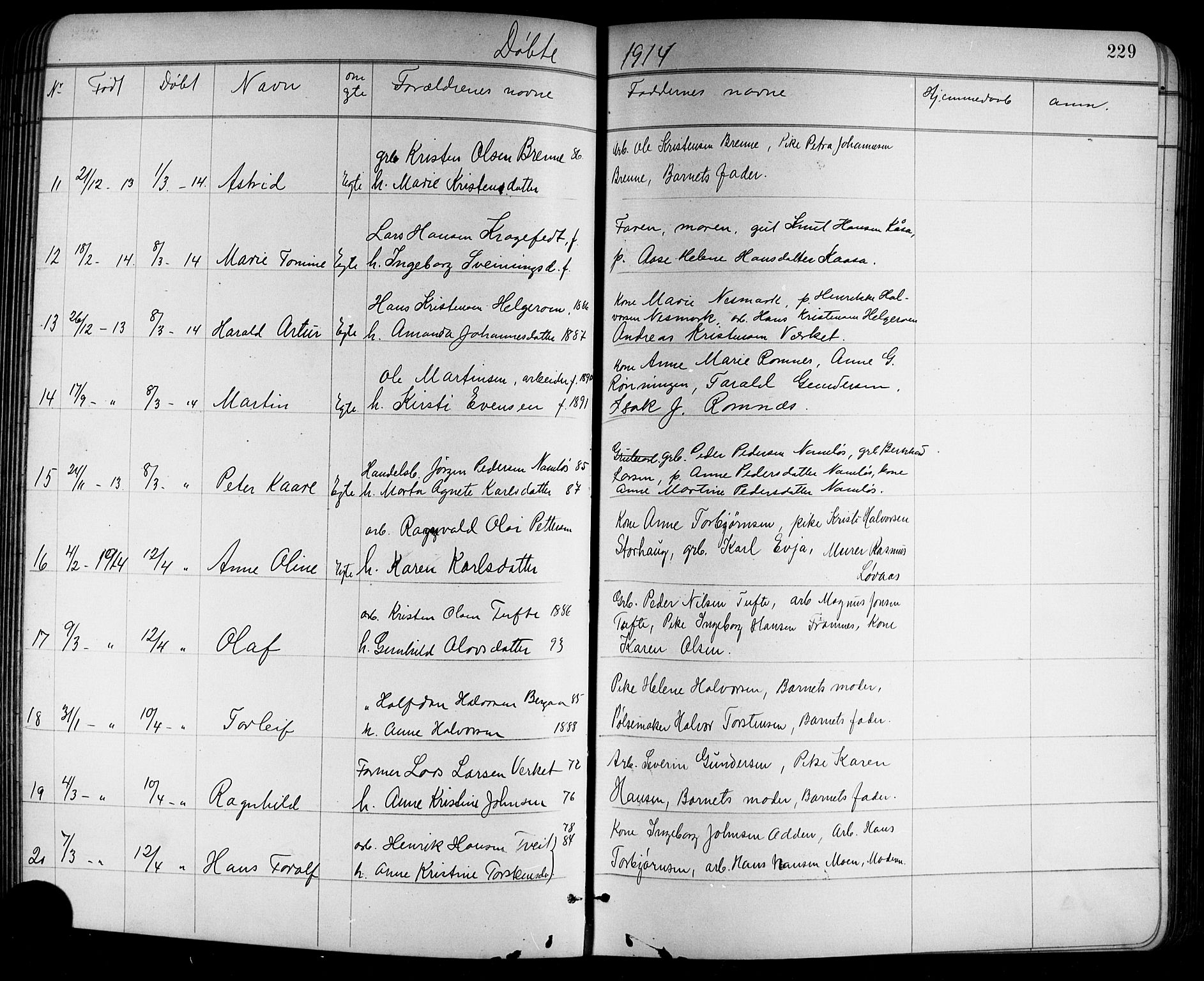 Holla kirkebøker, AV/SAKO-A-272/G/Ga/L0005: Klokkerbok nr. I 5, 1891-1917, s. 229