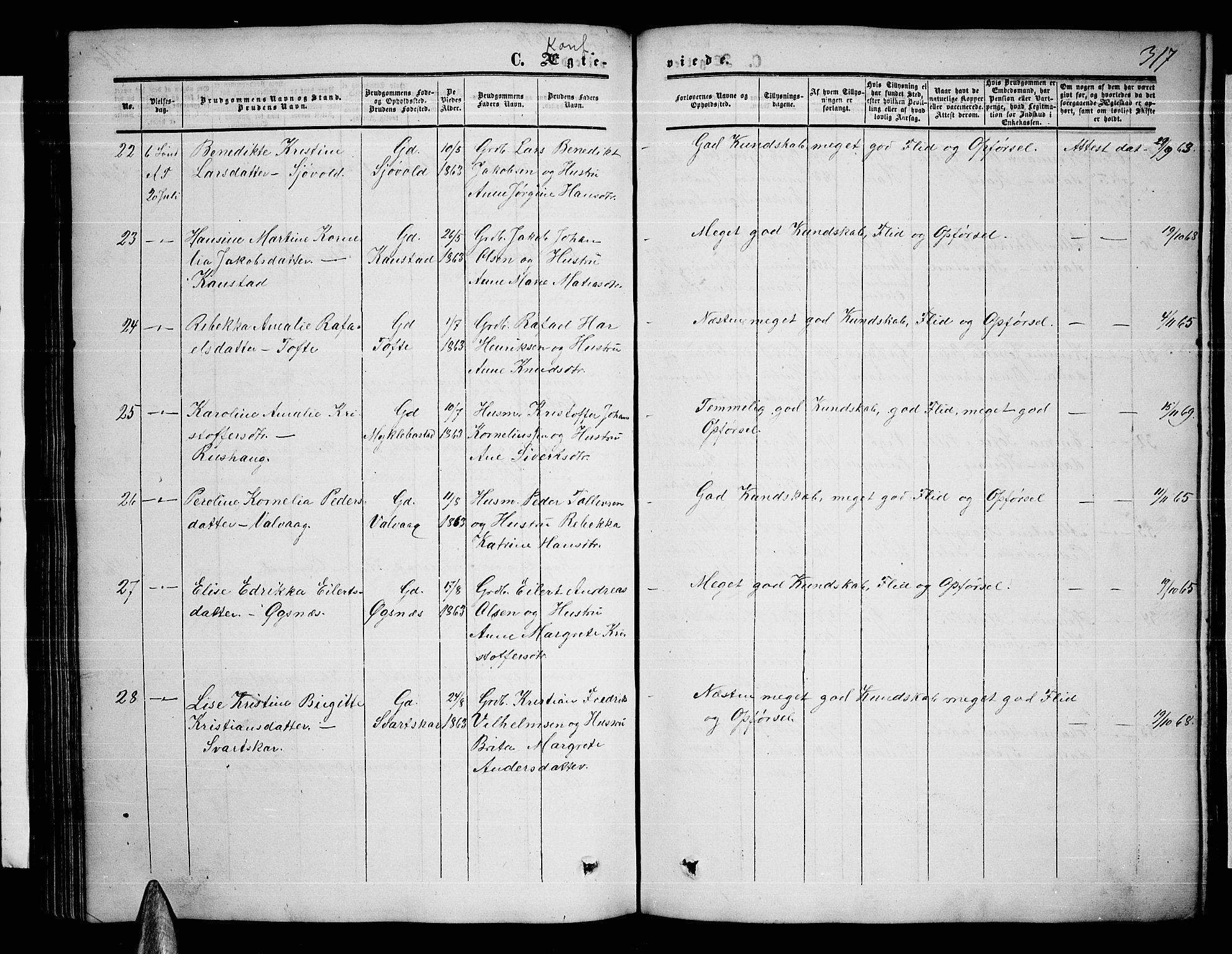 Ministerialprotokoller, klokkerbøker og fødselsregistre - Nordland, AV/SAT-A-1459/872/L1046: Klokkerbok nr. 872C02, 1852-1879, s. 317