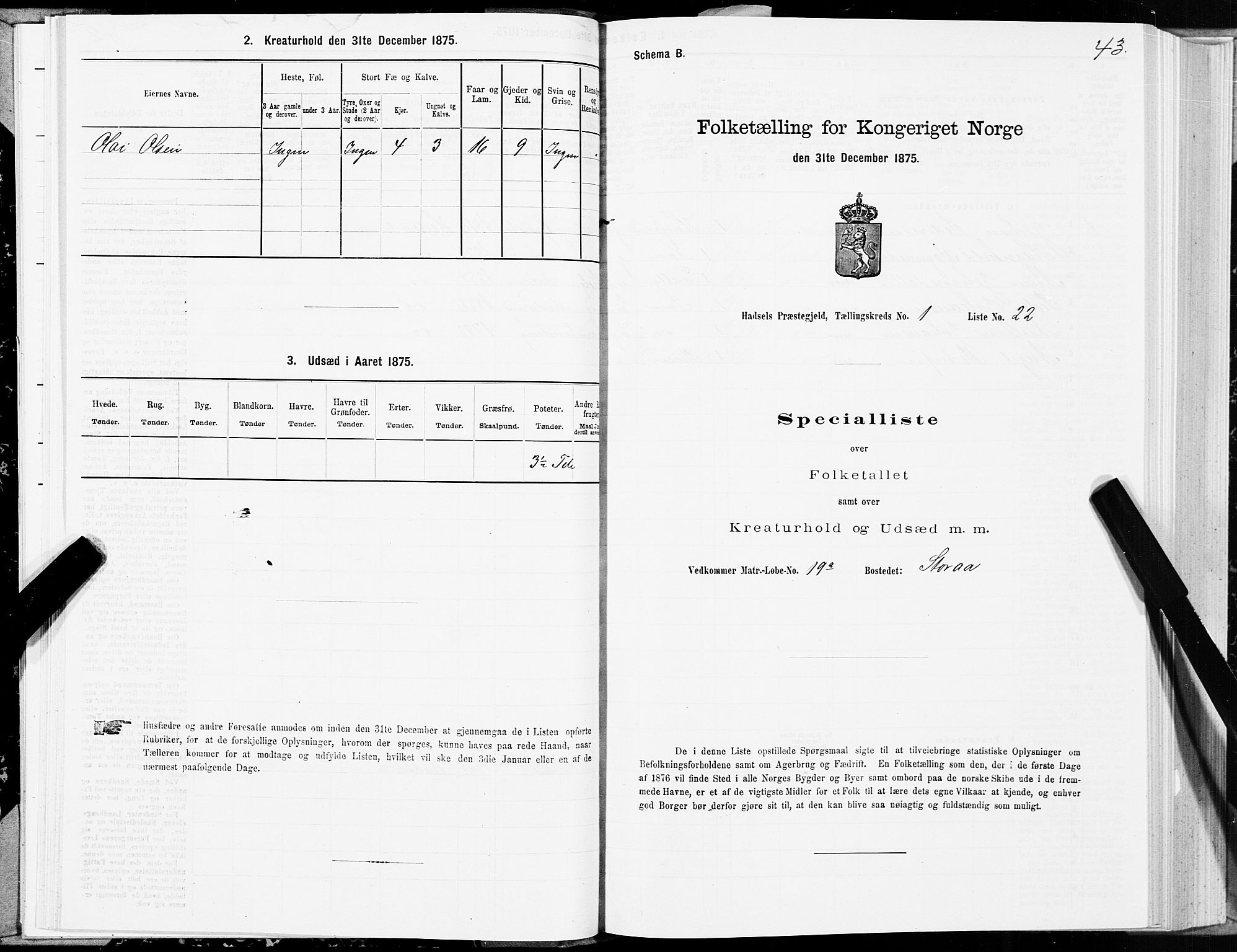 SAT, Folketelling 1875 for 1866P Hadsel prestegjeld, 1875, s. 1043